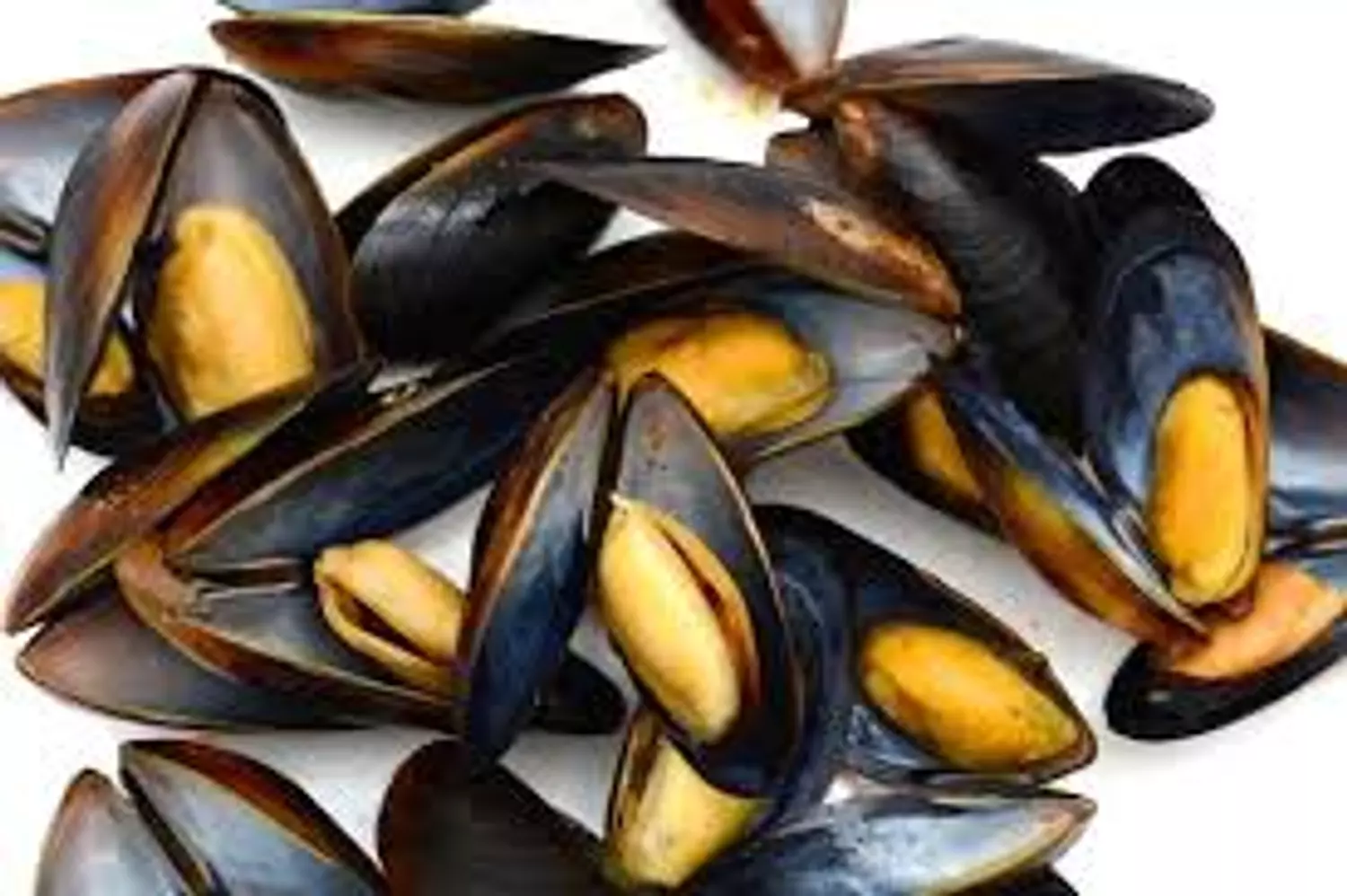 Imported Mussels image