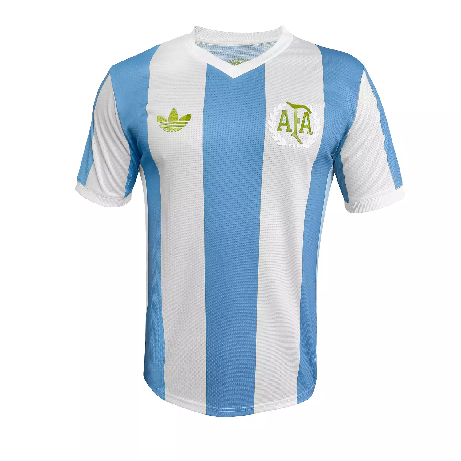 ARGENTINA COPA 25 PLAYER - NATIONAL image