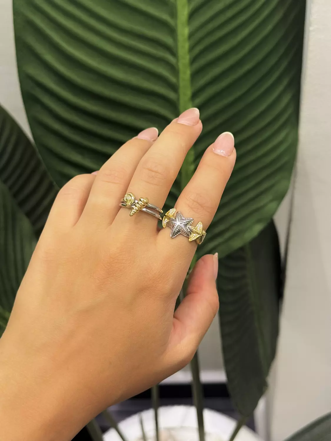 Set of four rings  1