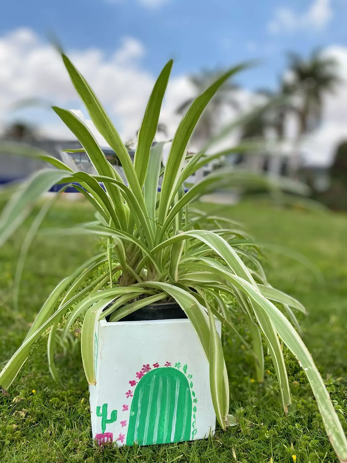 White X Green X Fuchsia Squared Plant Pottery Pot Size 14  hover image