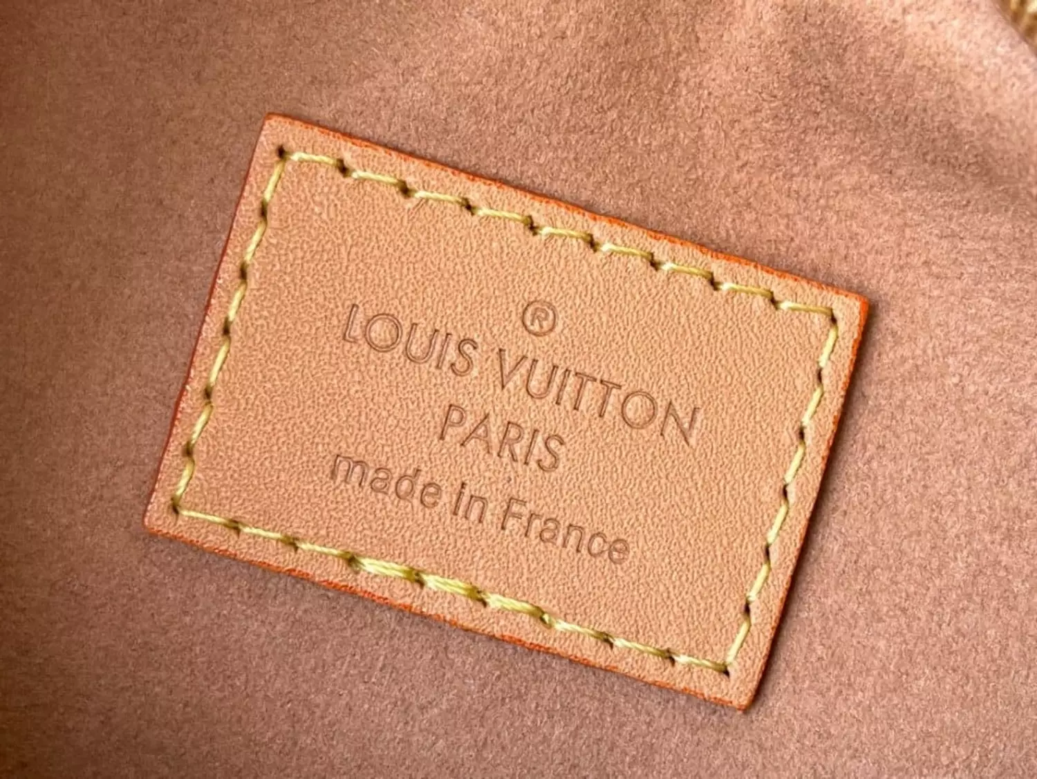 Louis vuitton loop bags  5