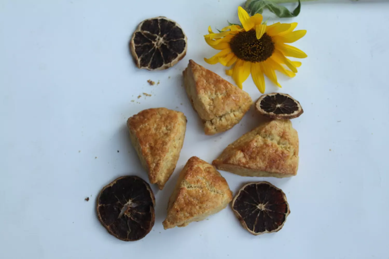 Orange Tea Scones 16