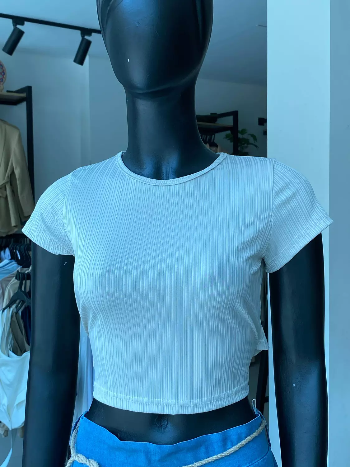 <h3 style="text-align: justify">Tops →</h3>