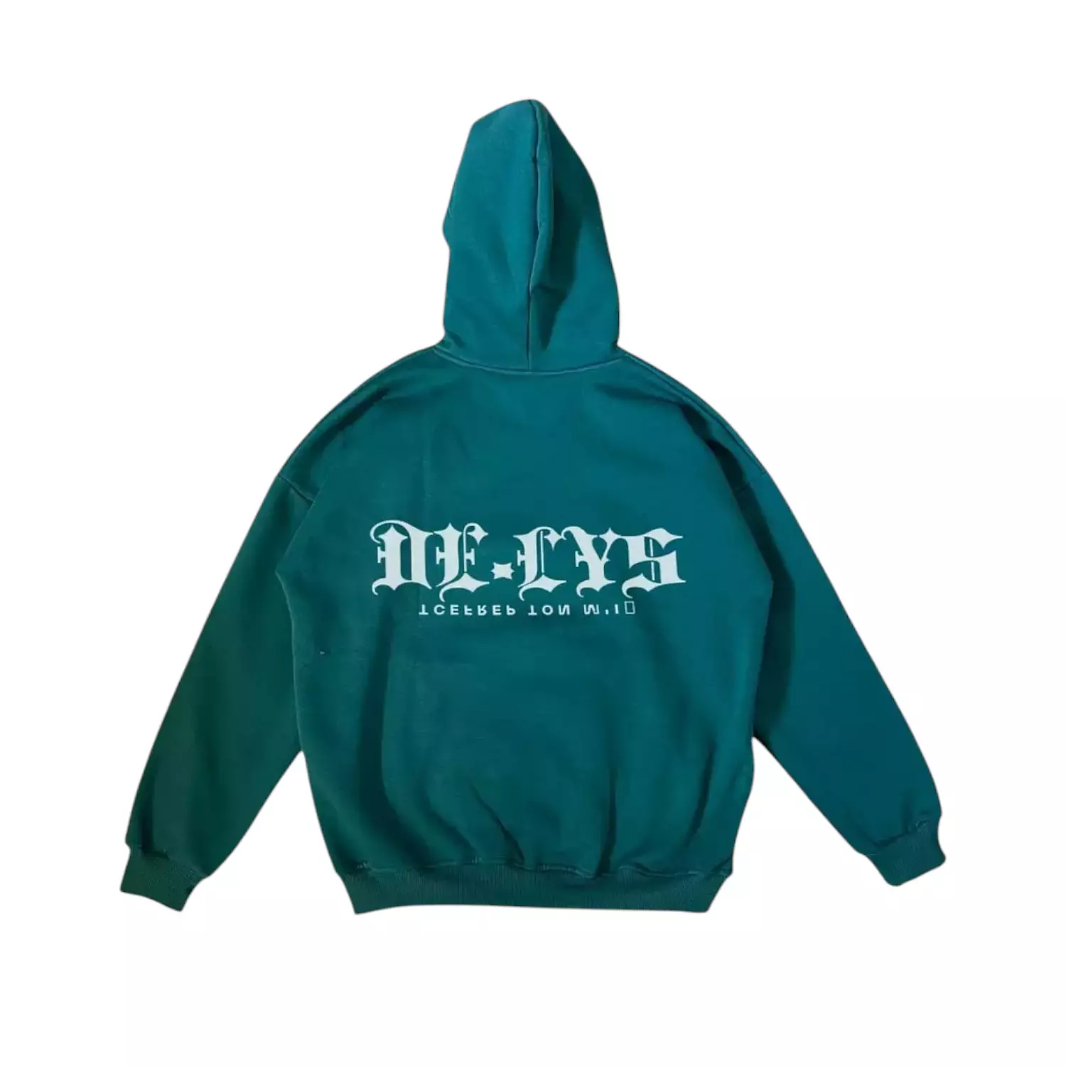 DELYS st1 hoodie  hover image