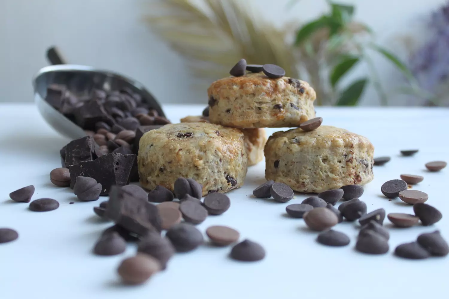 Chocolate Chip Tea Scones 5