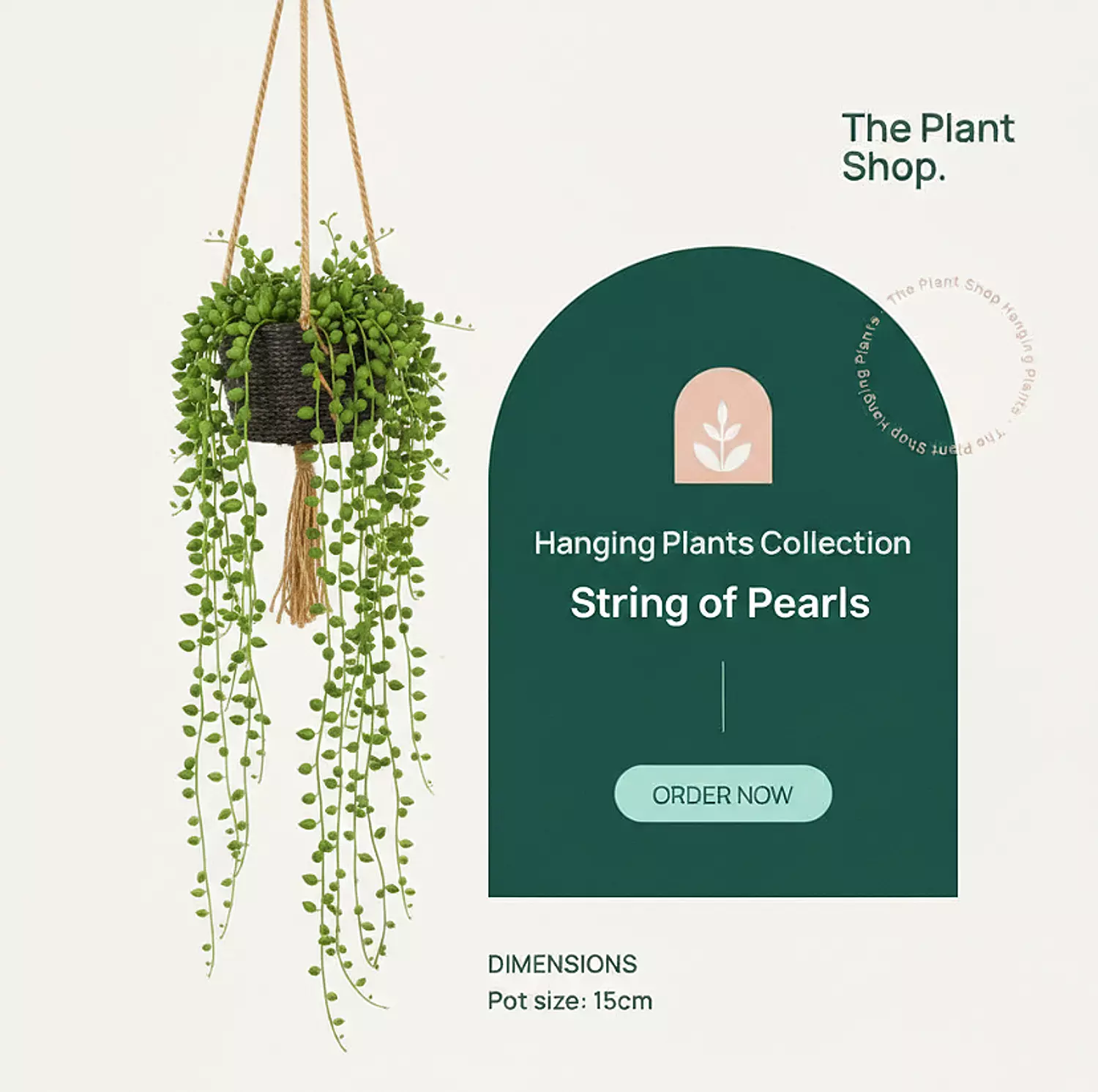 Hanging String Of Pearls image