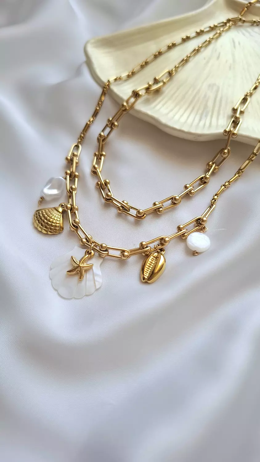 Golden seashell set image