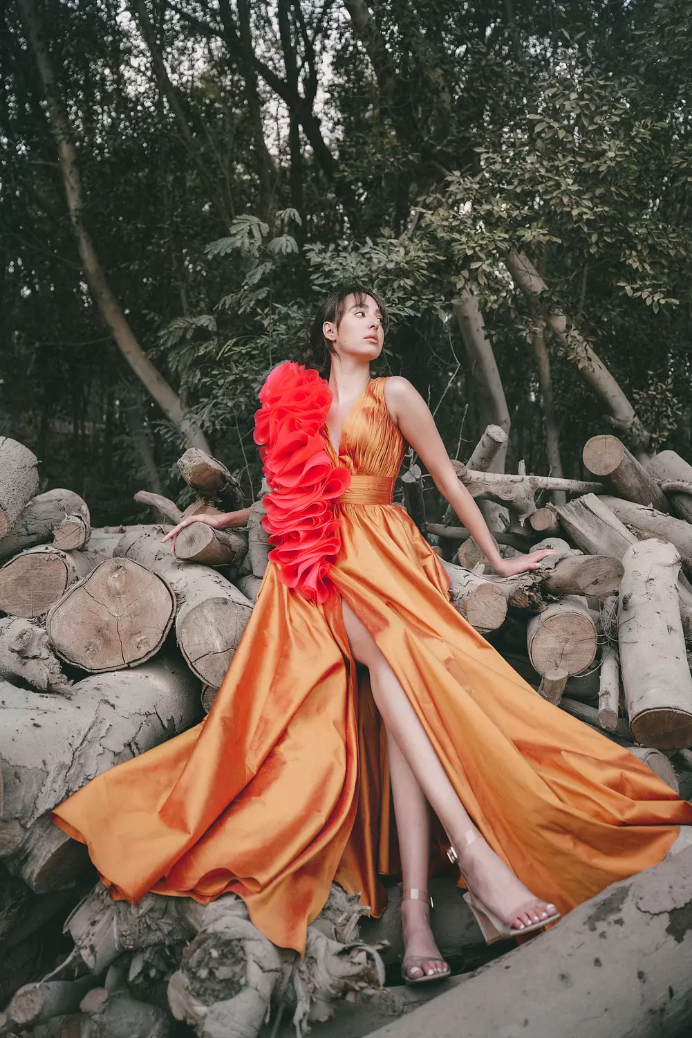 Ruffle Gown image