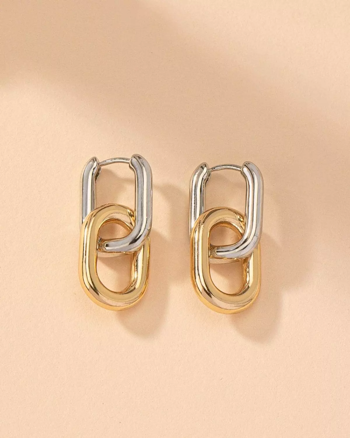 Two Tone Earrings image