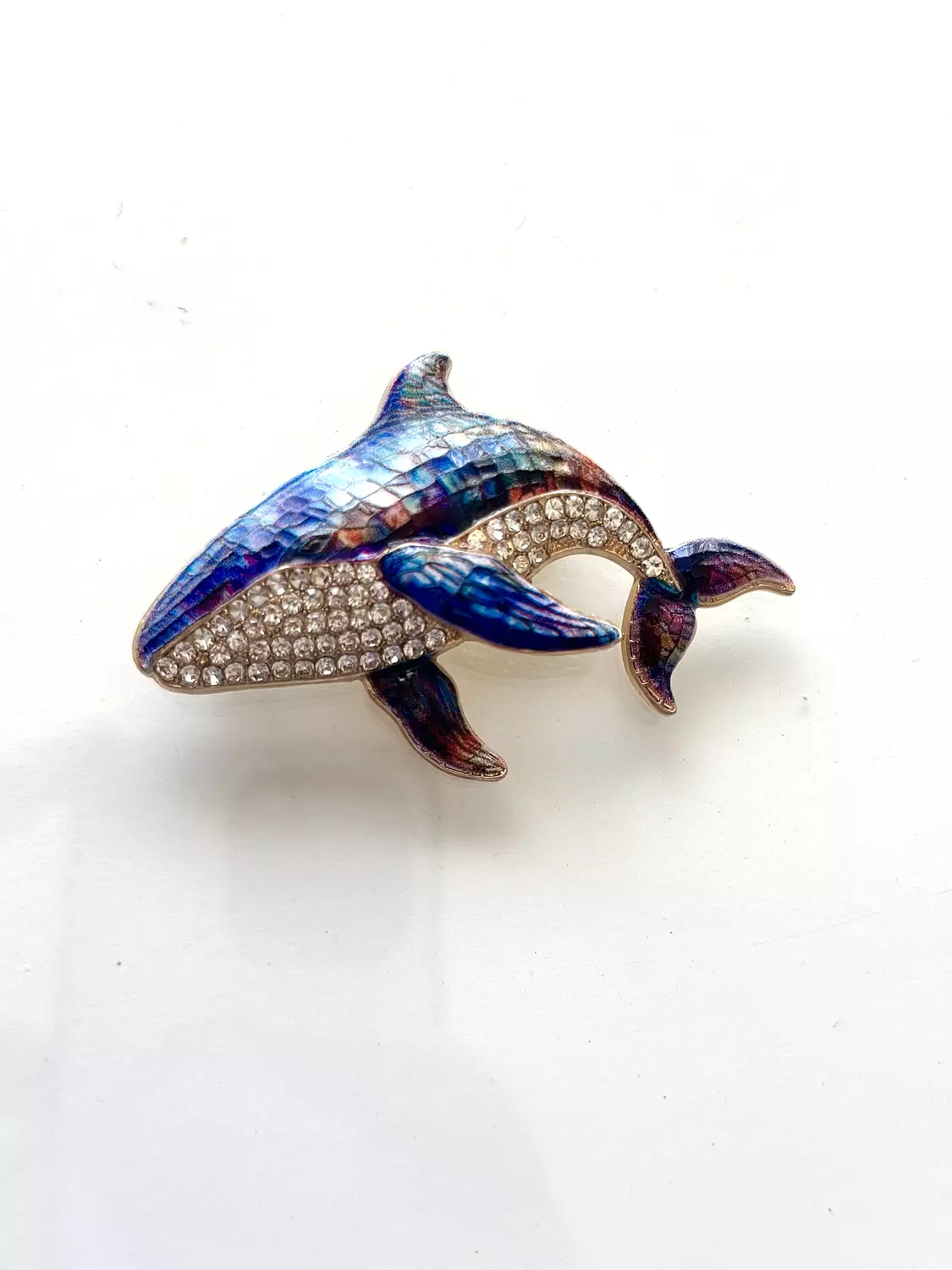 whale 1