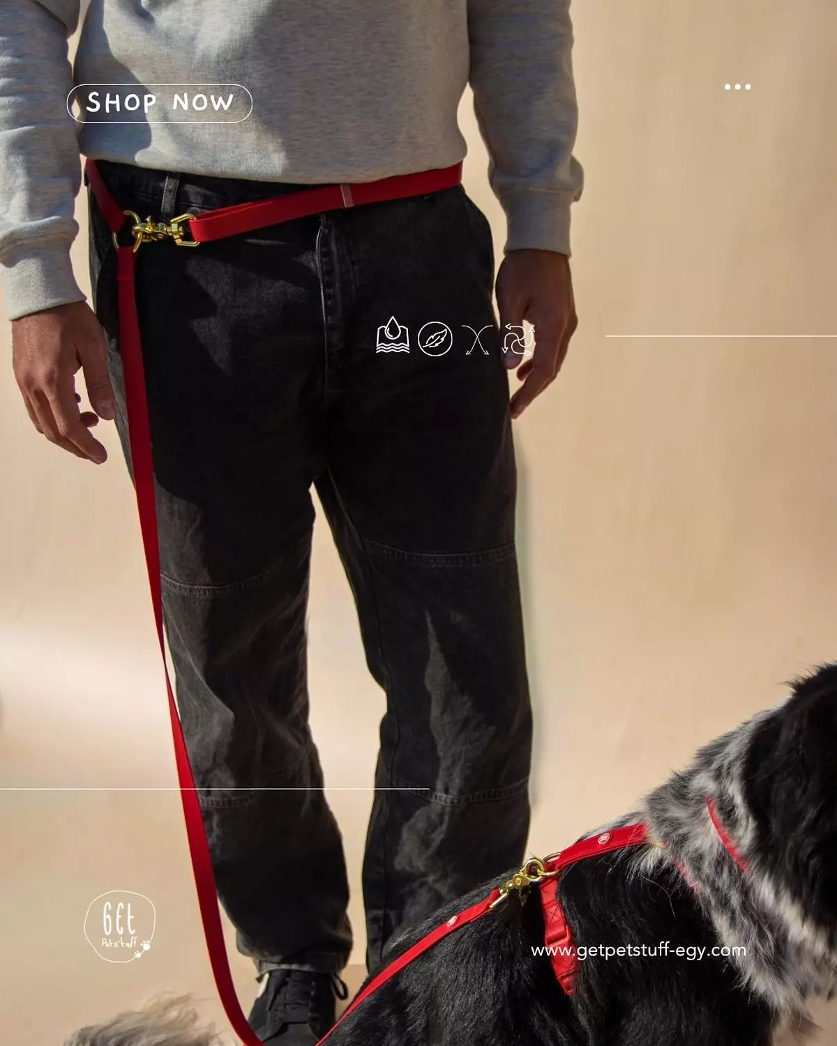 Essential Hands-free Leash image