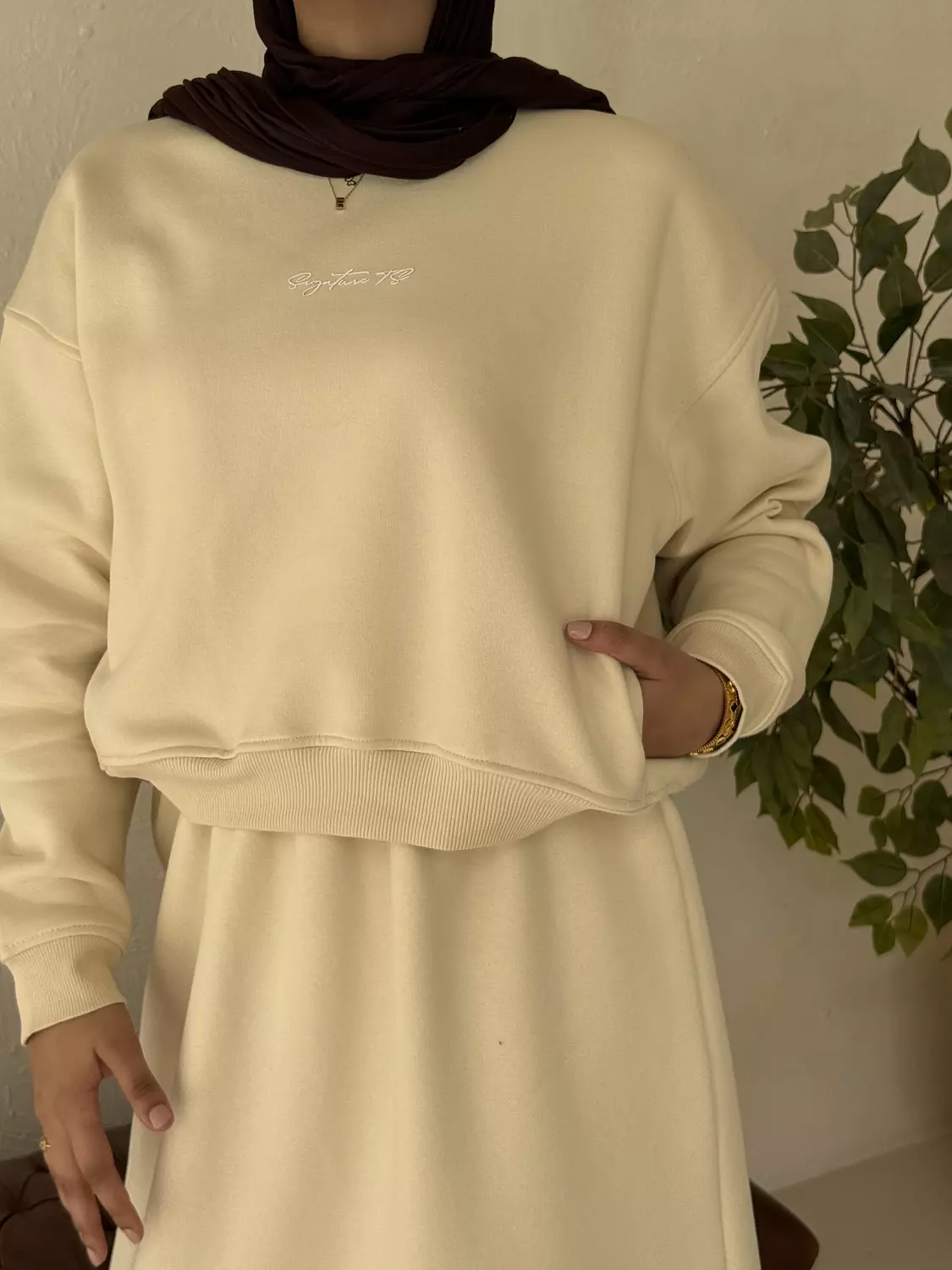 Motion begie hover image