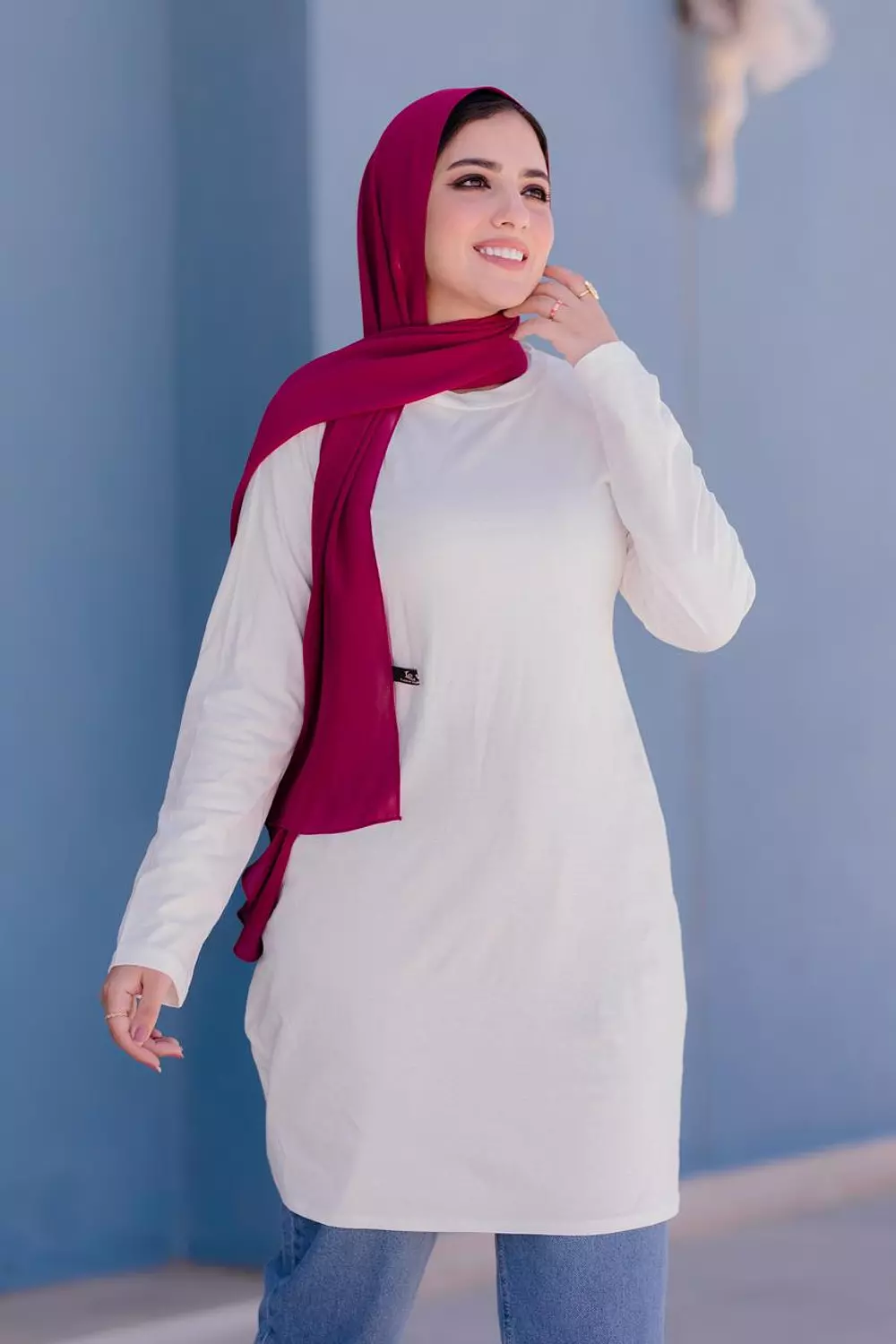 Cotton sleeve basic shirt image