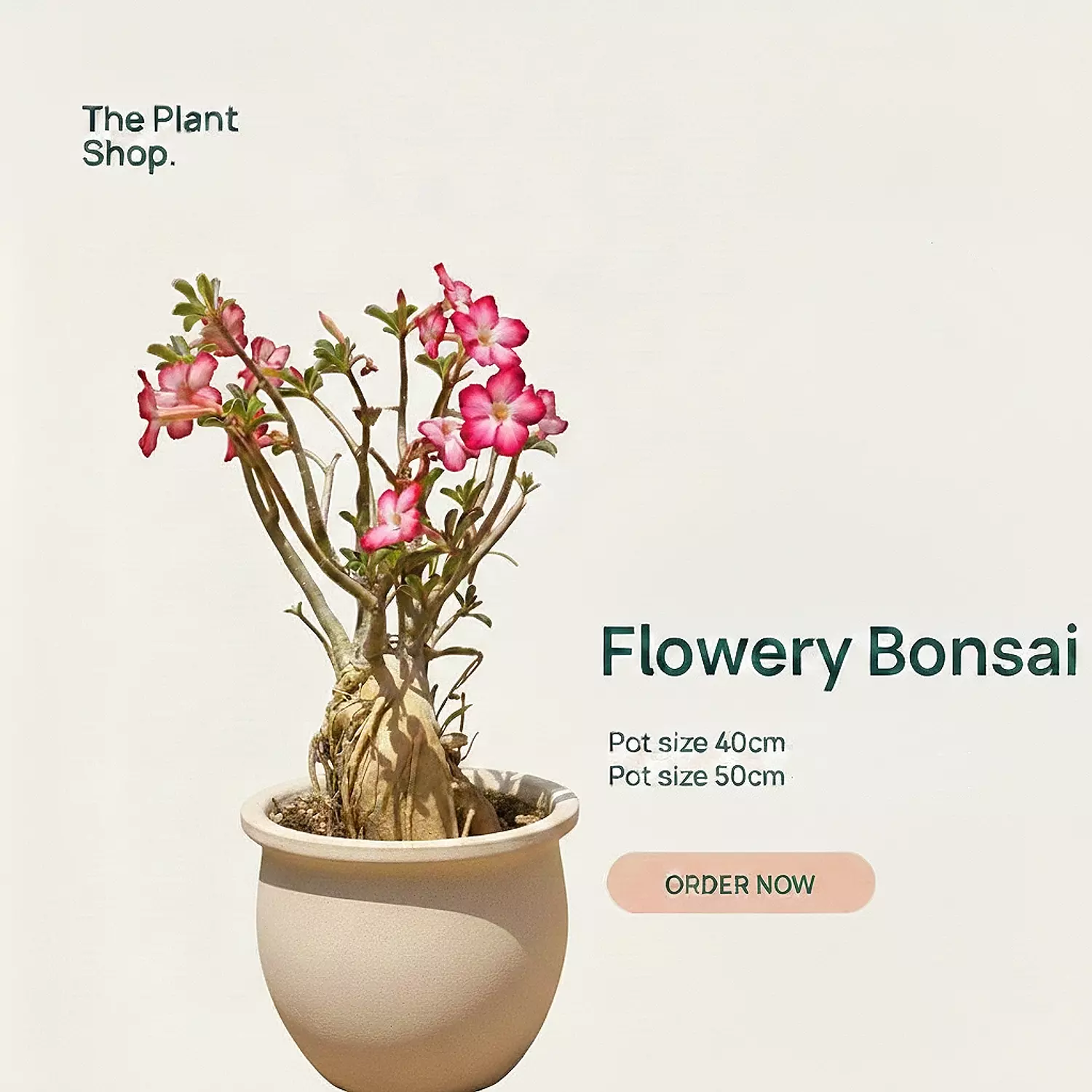 Flowery Bonsai image