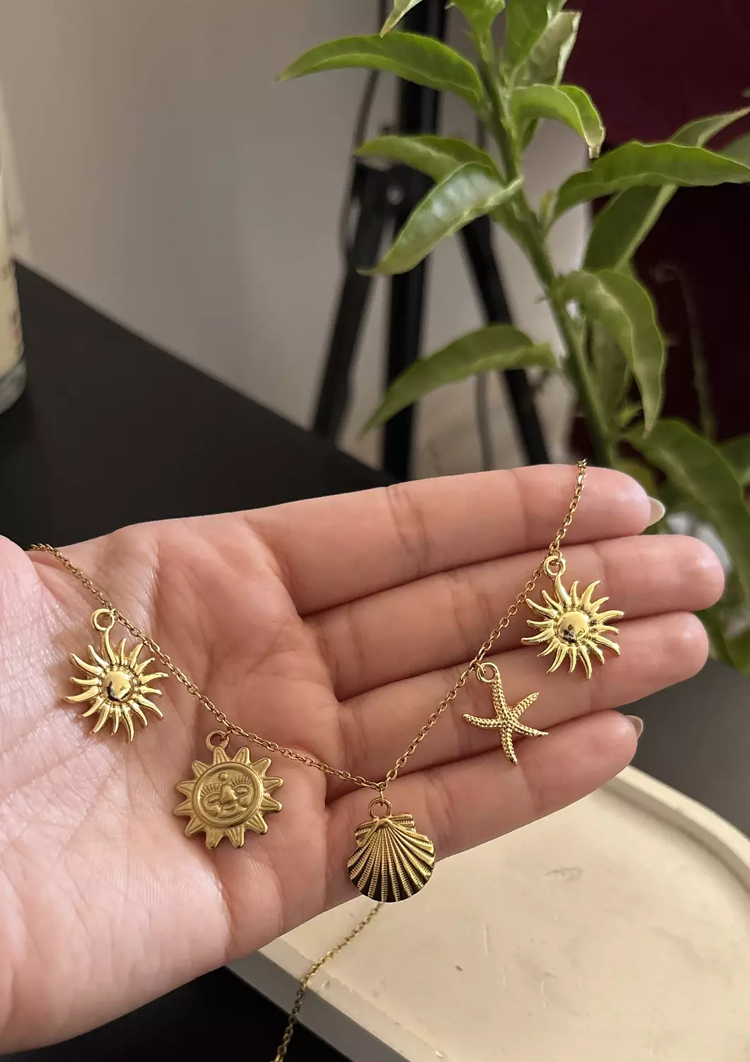 Seashell necklace 2