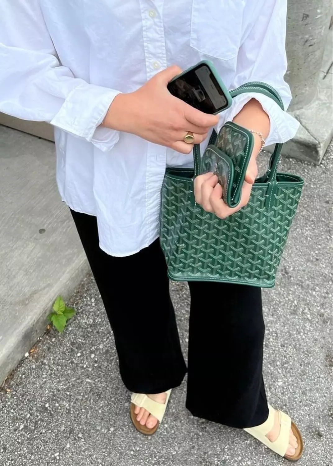 GOYARD ANJOU BAG 1