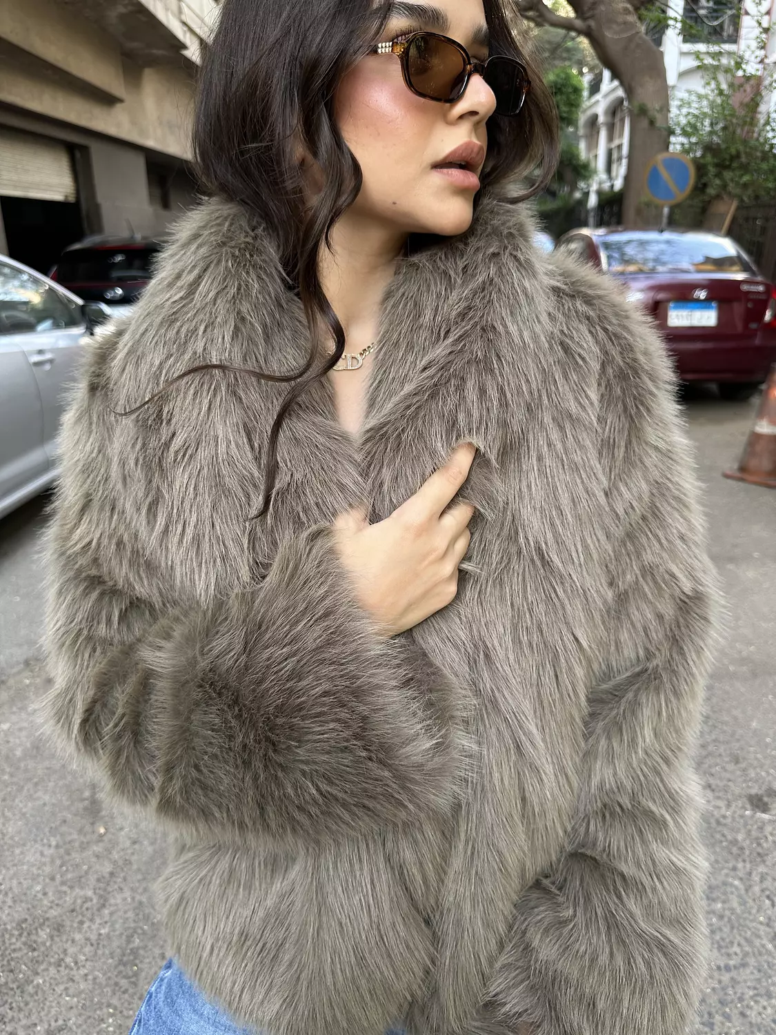 <p style="text-align: justify">The Rich Faux</p>