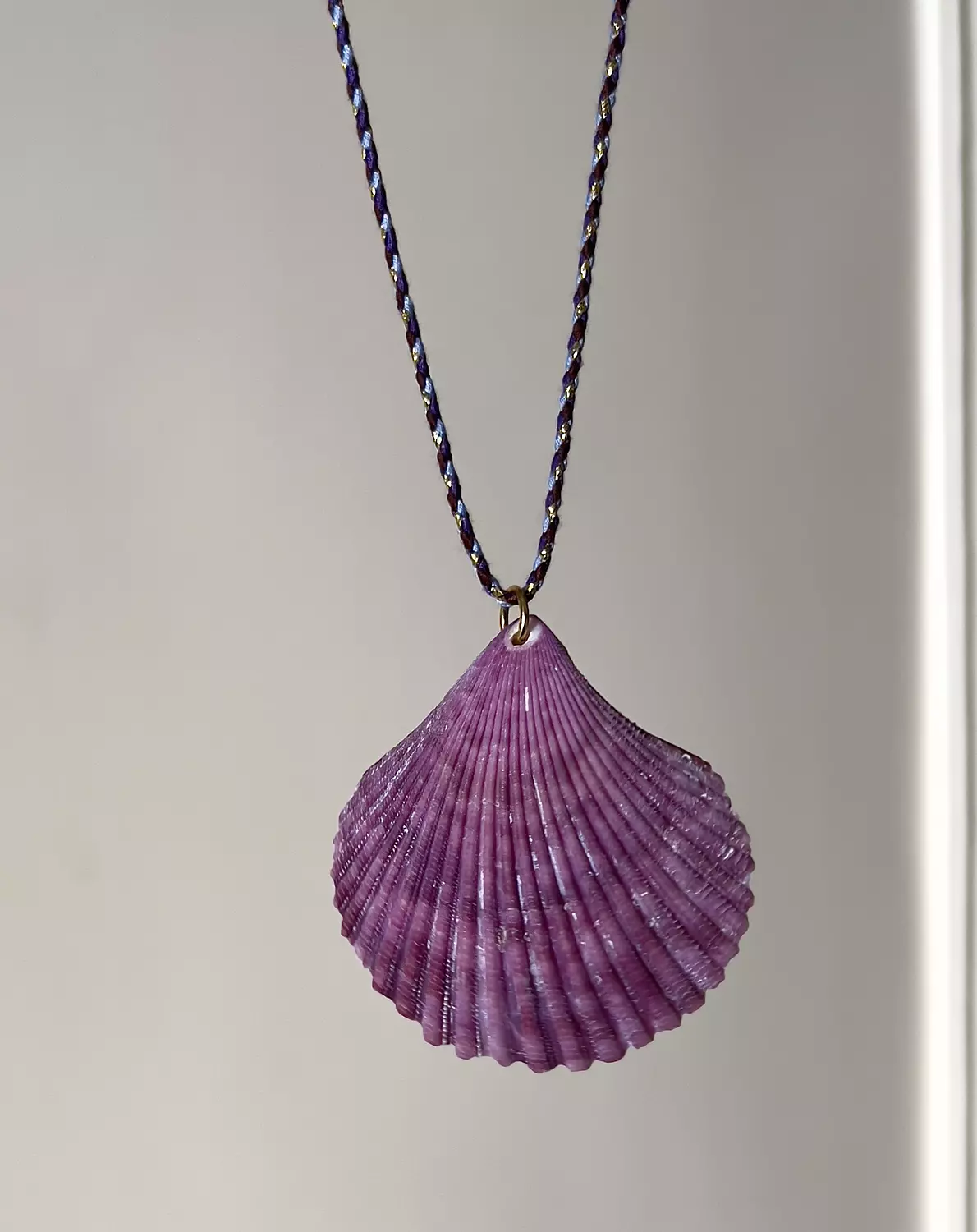 Viola Shell  image