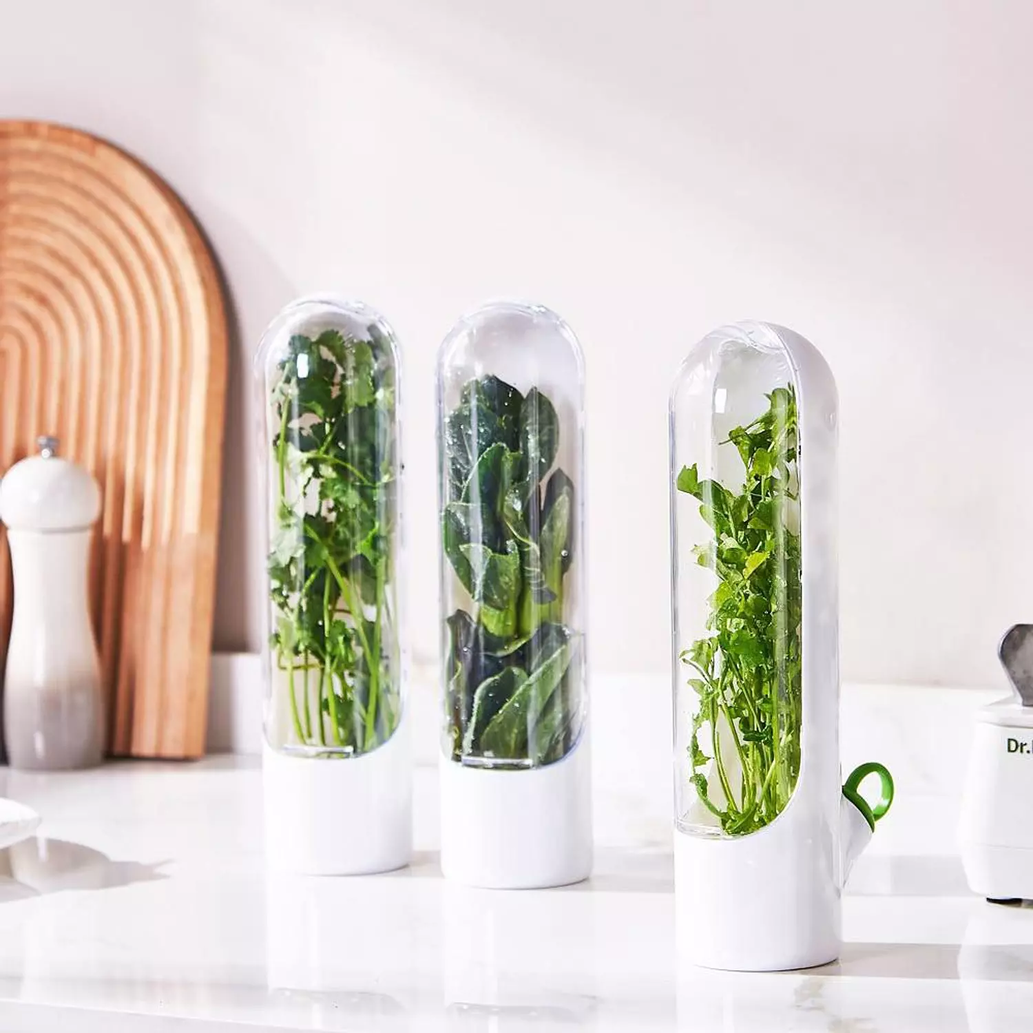 Fresh Herb Keeper Pods- small 1