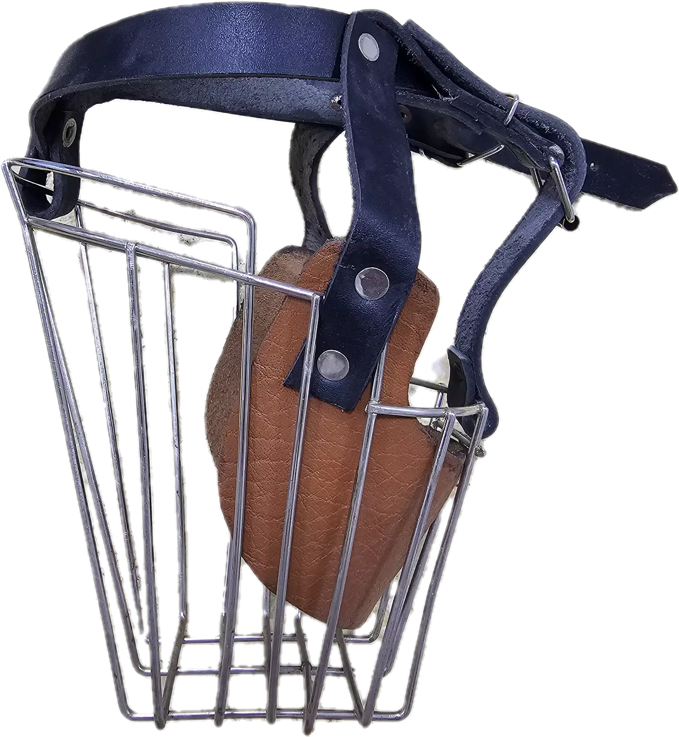 كمامة معدنية للكلاب الجيرمن  image