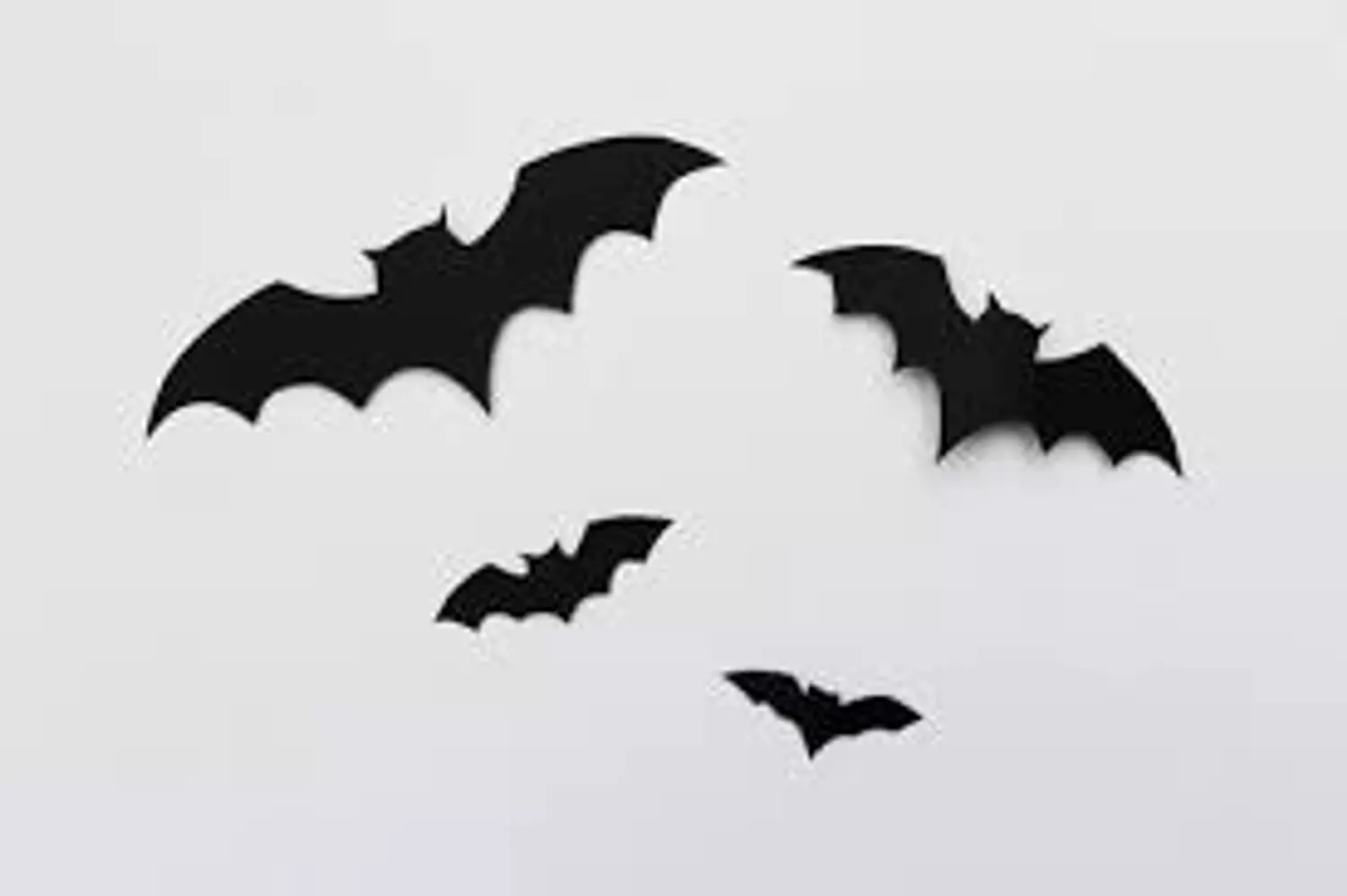 Bat/Spider Large Wall Decor