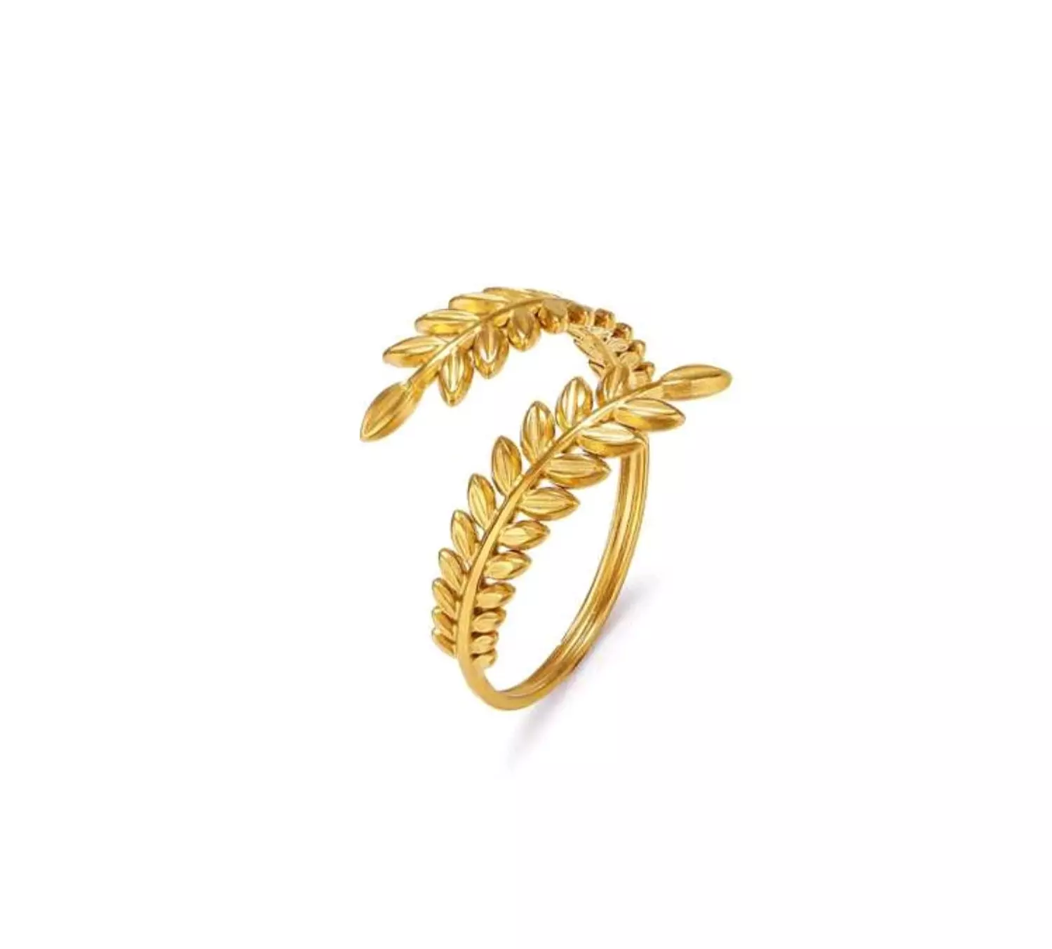 Ring R06 2