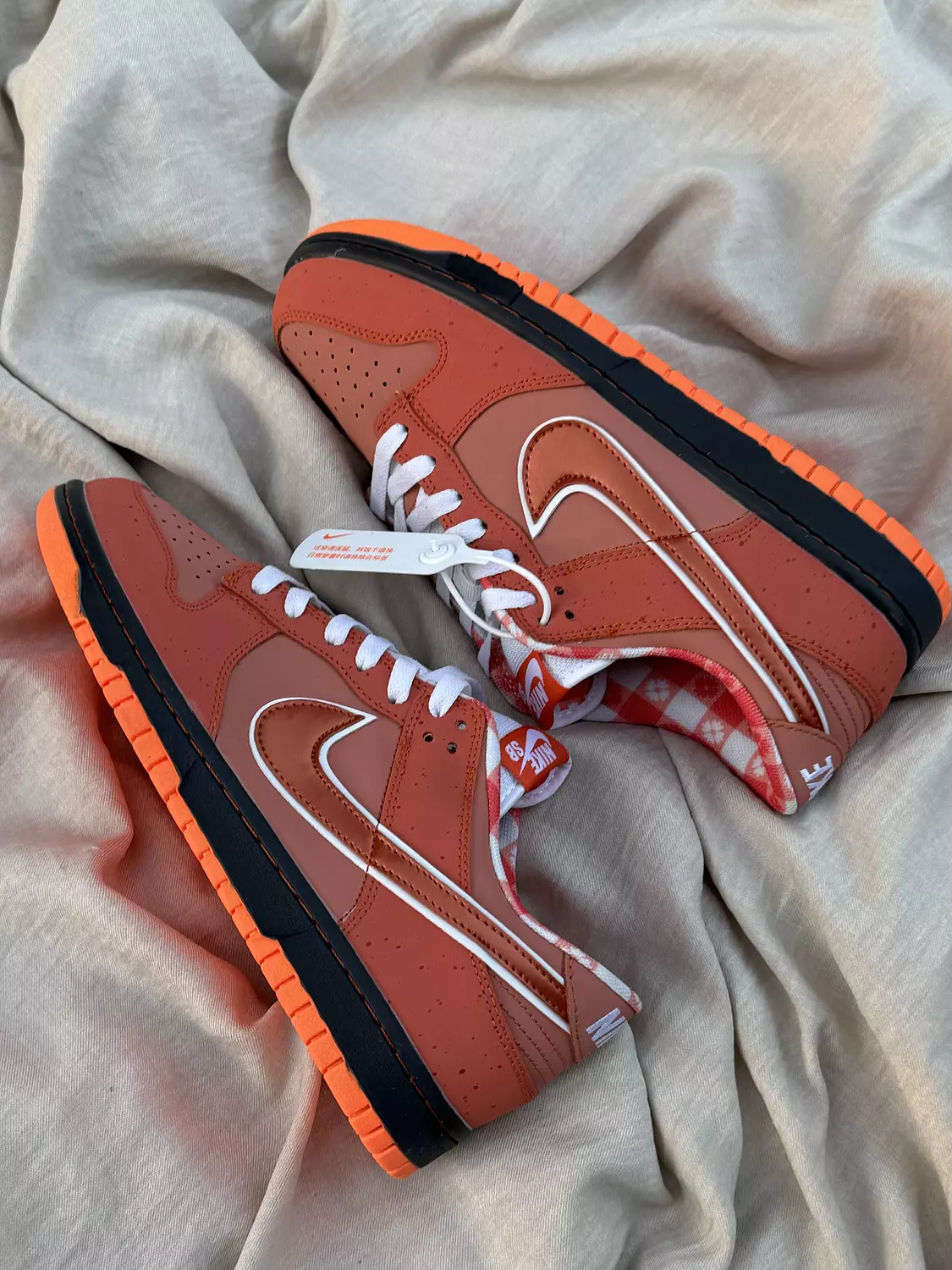 Nike X Concepts SB Dunk low “orange lobster  2