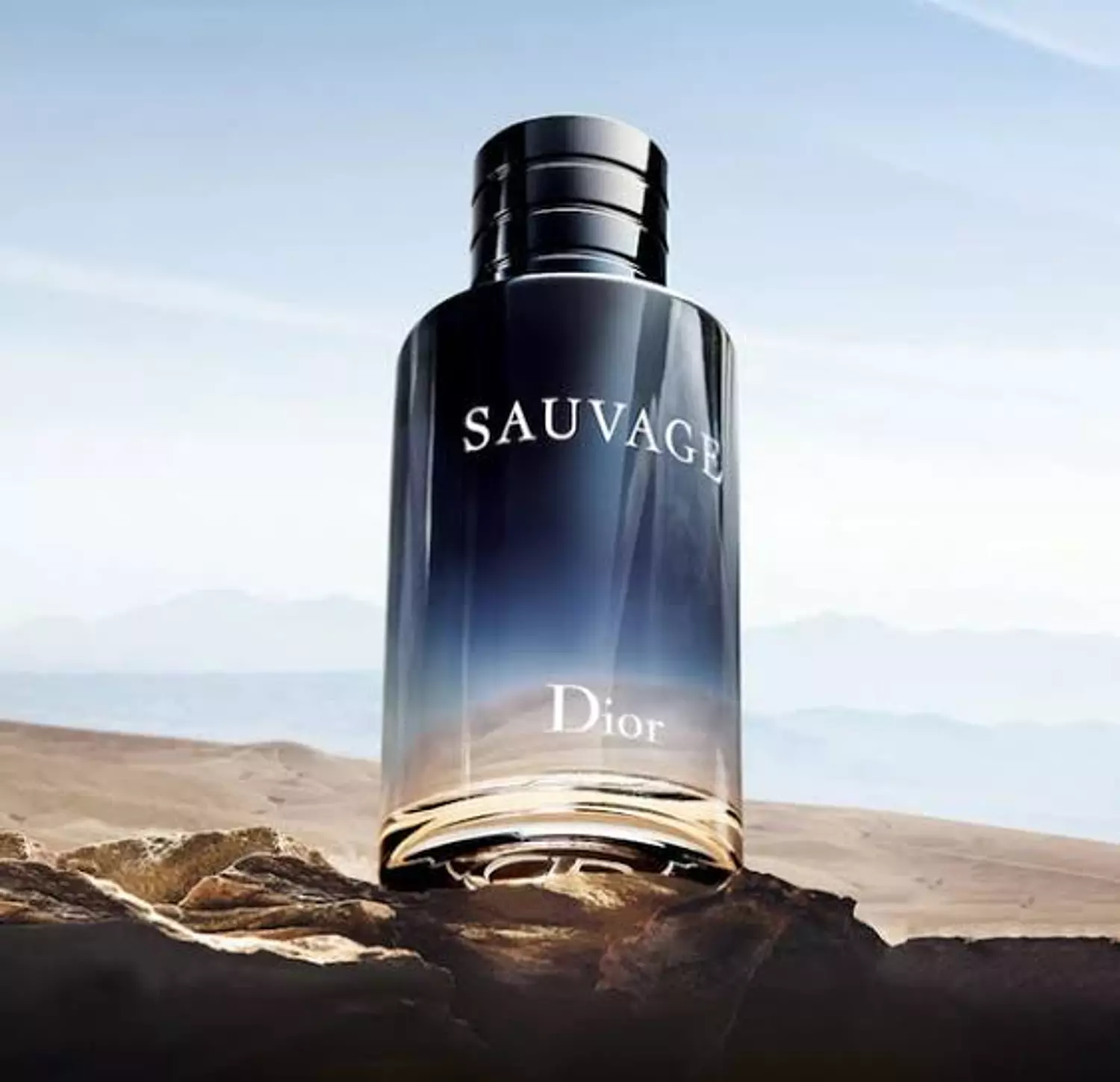 Sauvage Dior 100ml for men 3