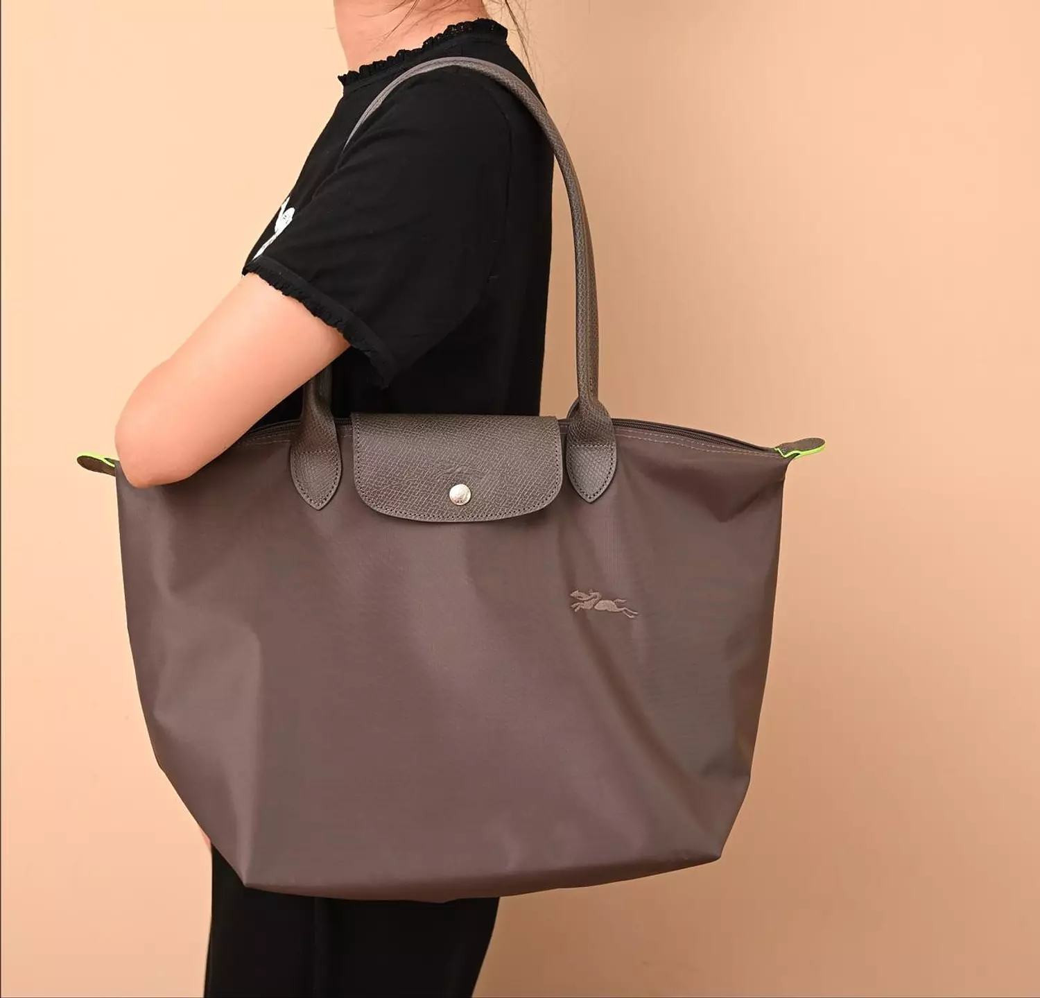 Longchamp Le Pliage Series terra M Long Handle image