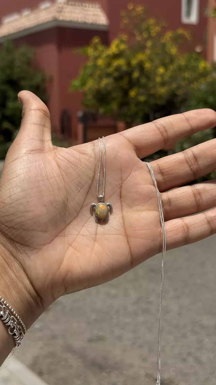 White Opal Turtle Necklace image