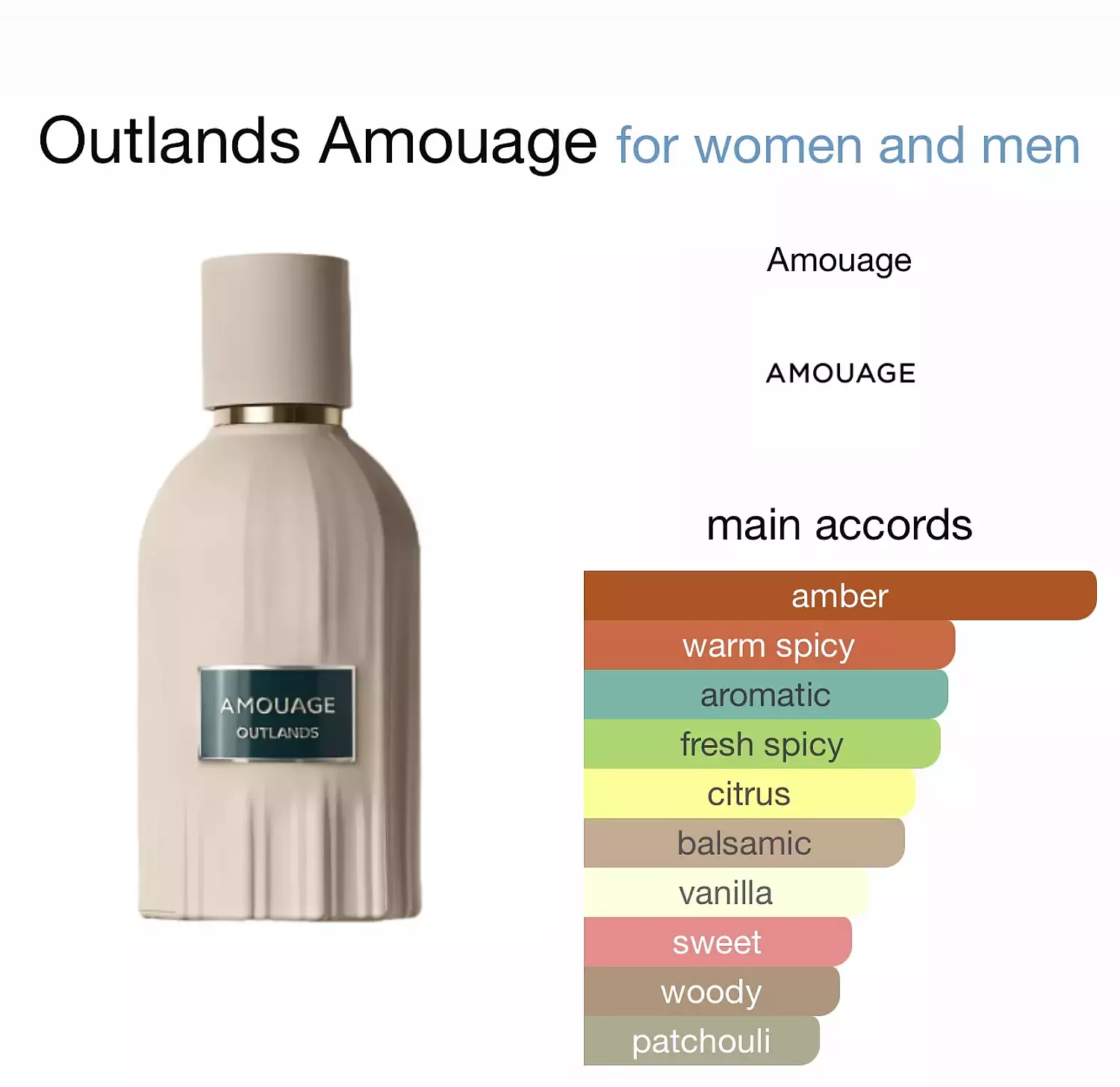 AMOUAGE OUTLANDS / 100 ml 2