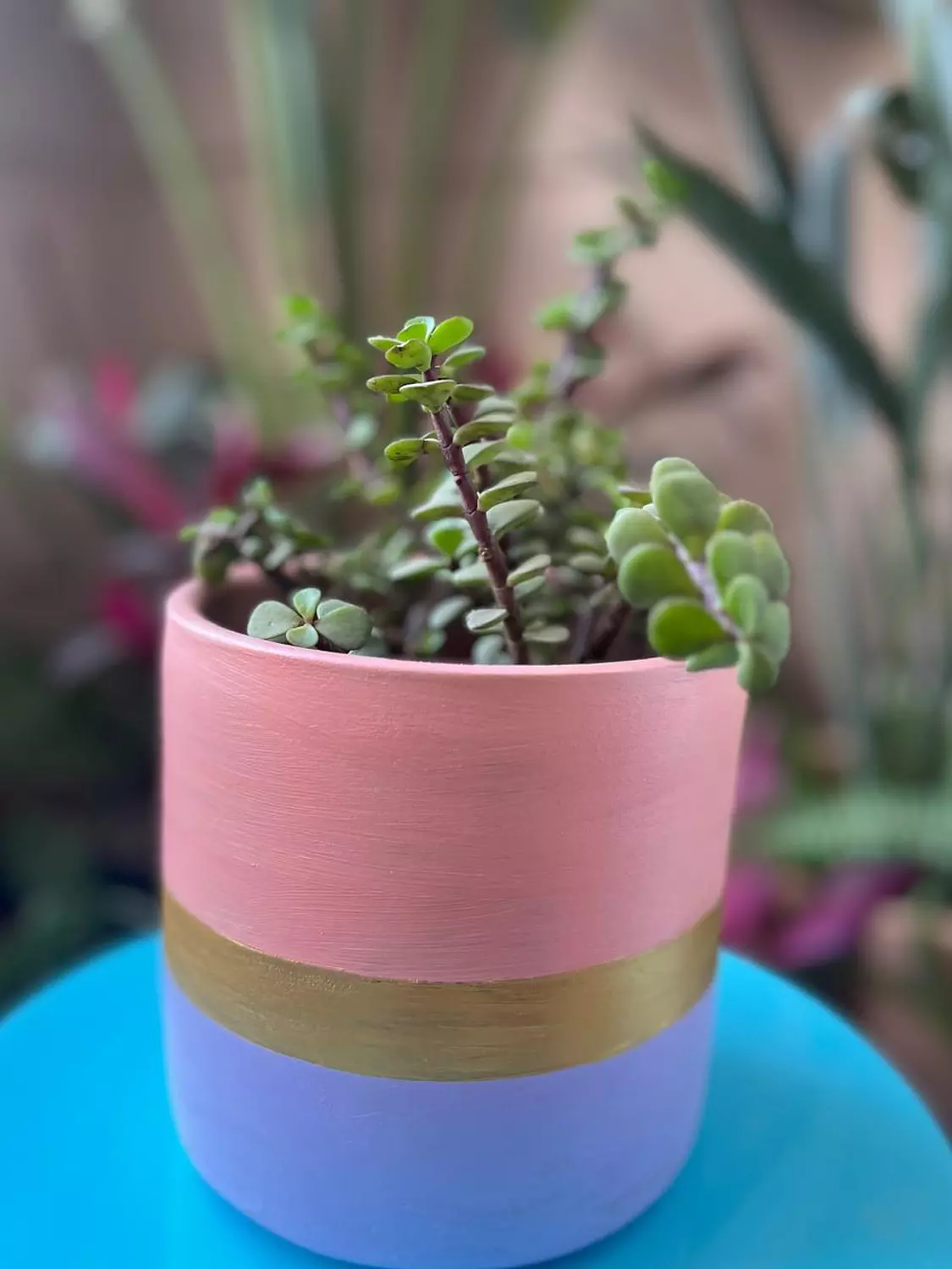 Simon X Violet X Gold Pottery Plant Pot Size 16  hover image