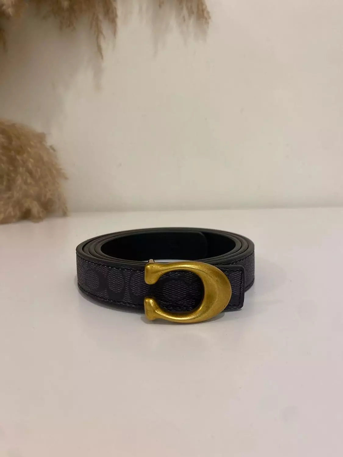 Coach belt image
