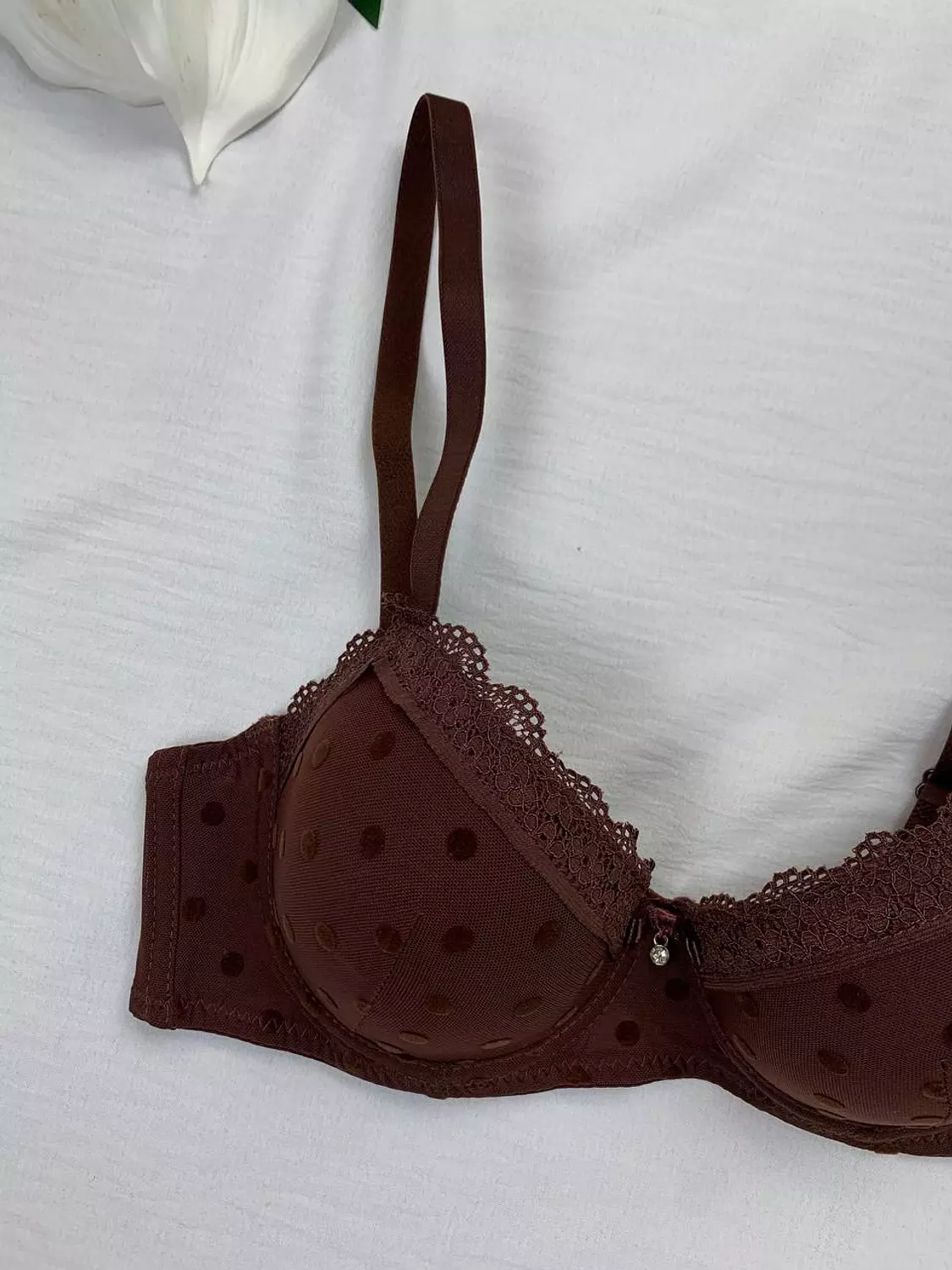 Wired padded bra from Splash 2