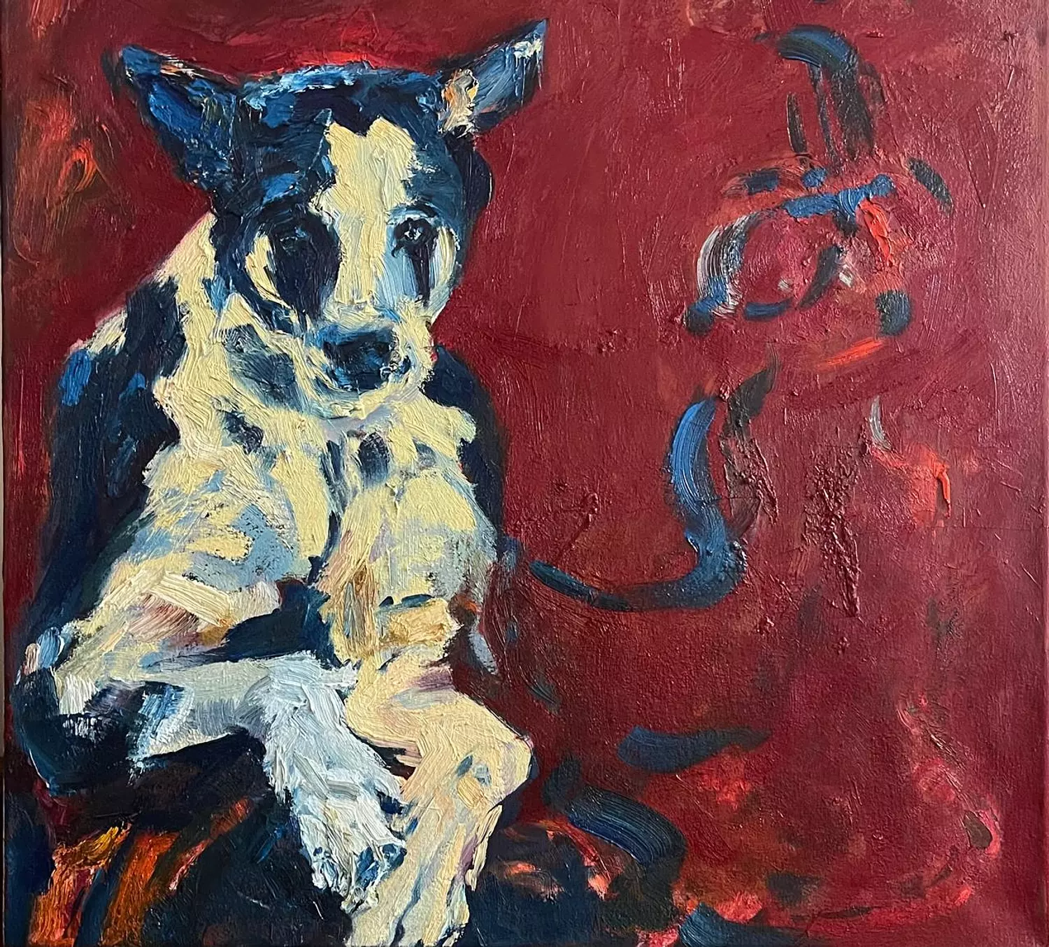 195 Engi Mahmoud image