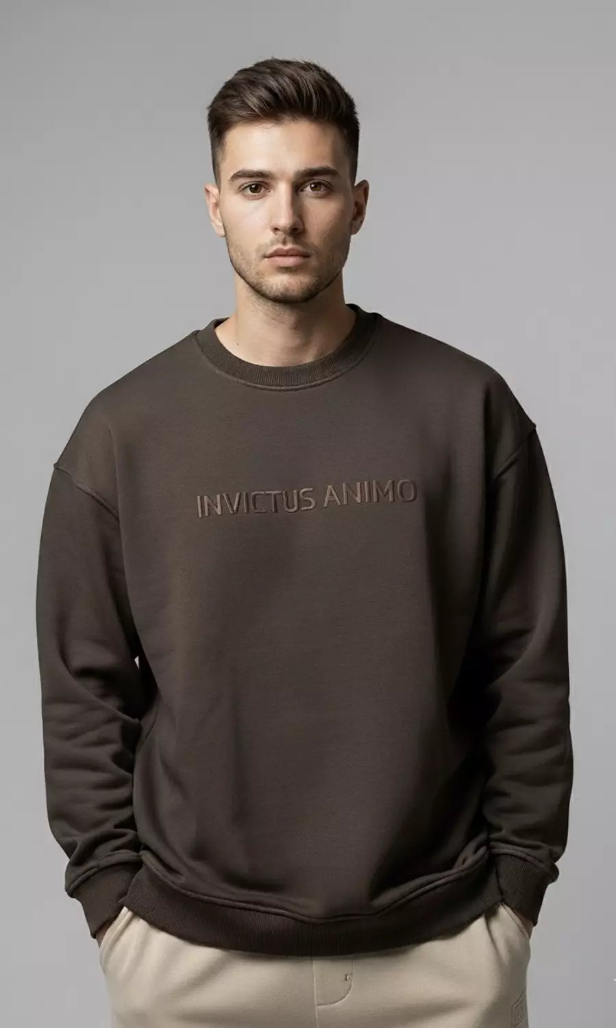 Premium Crewneck  _ Brown image