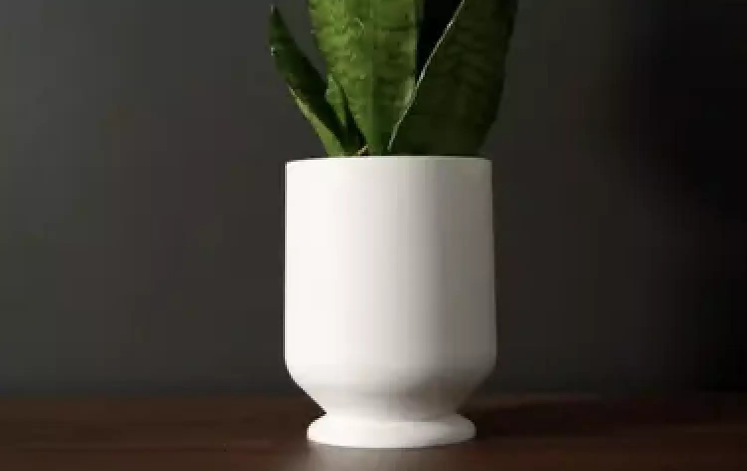 Simple Vase with Removable Drip Tray image