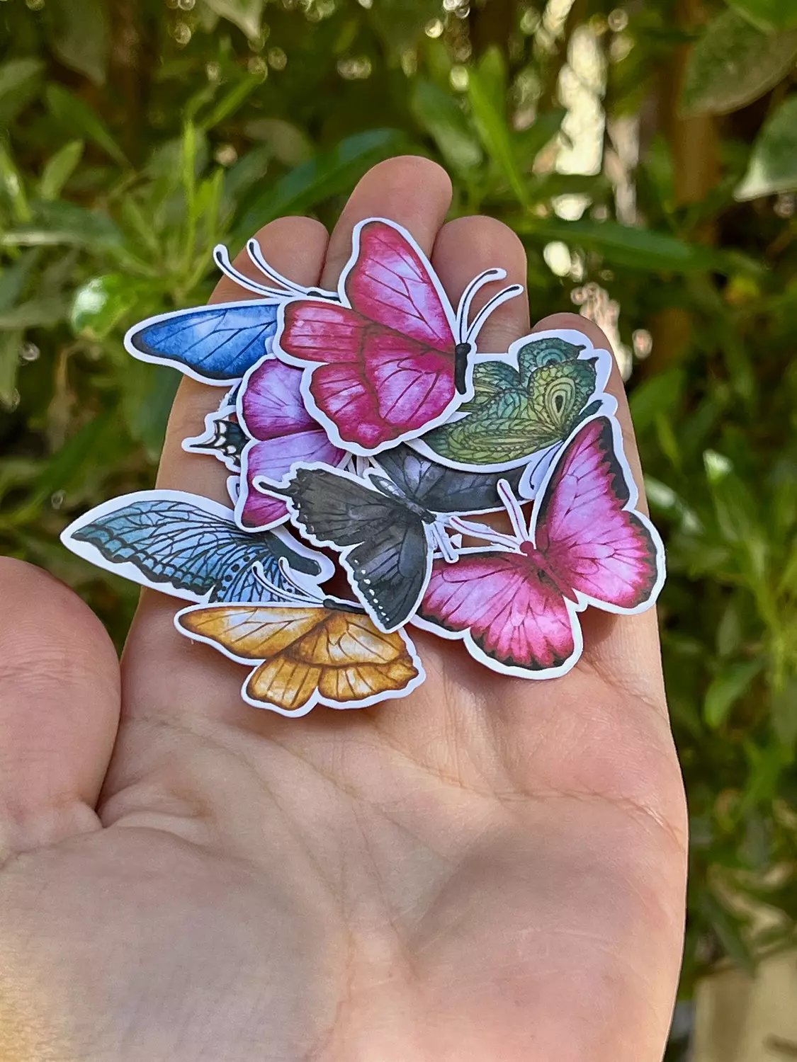 ستيكرات فراشات image