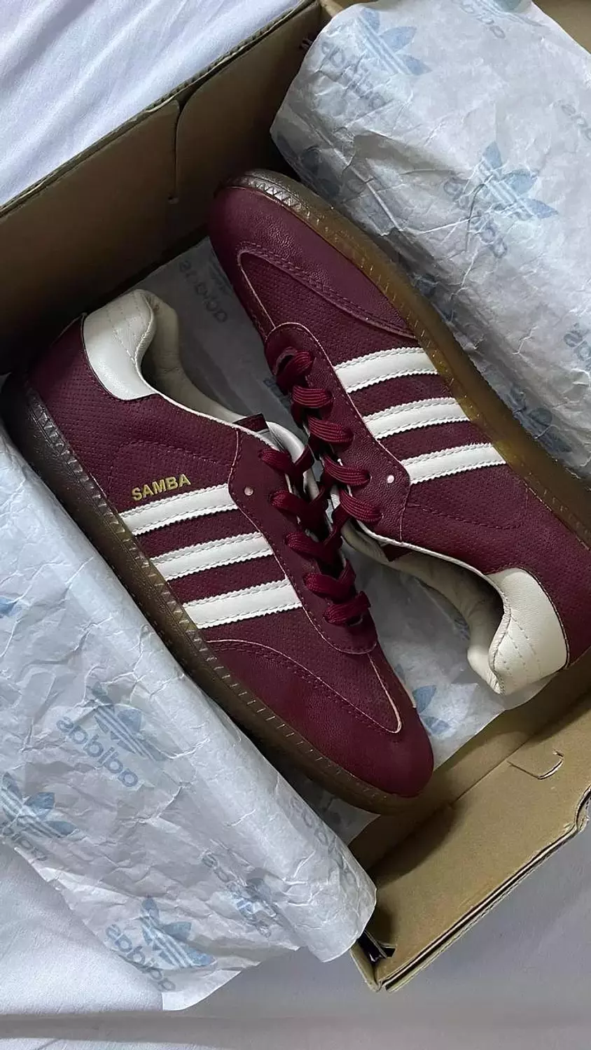 samba in burgundy 3