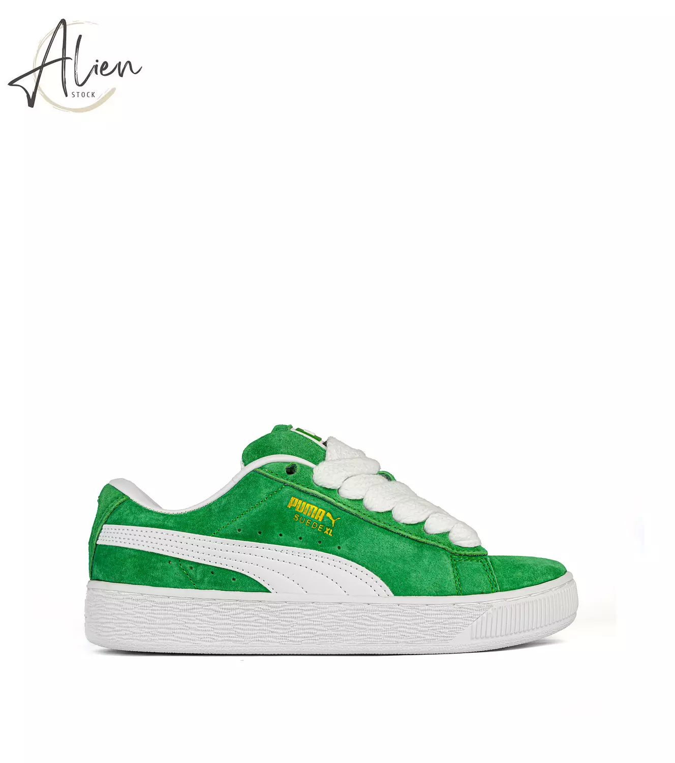 PU XL GREEN-WHITE WOMEN image