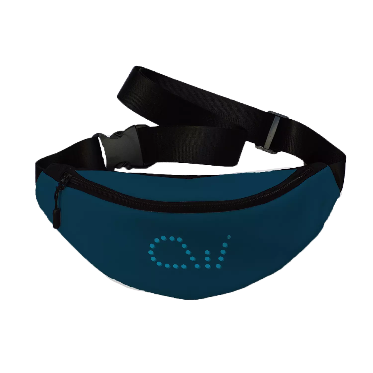 CW Petrol Fanny Pack  image