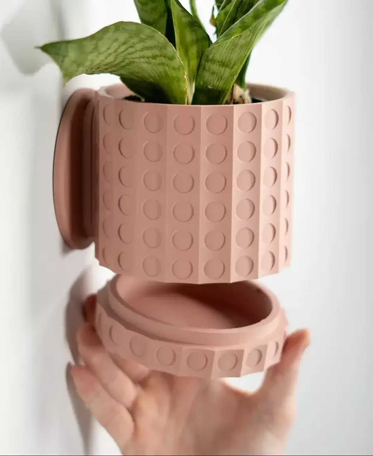 Dots Planter image