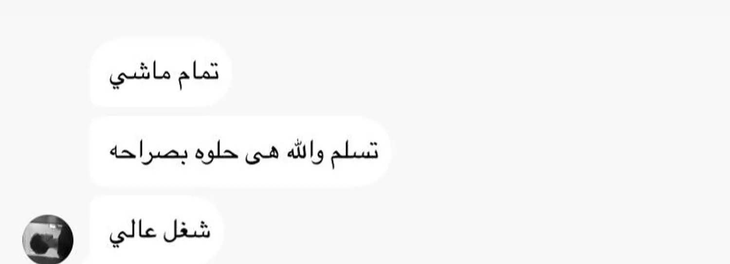 <p style="text-align: start"></p>