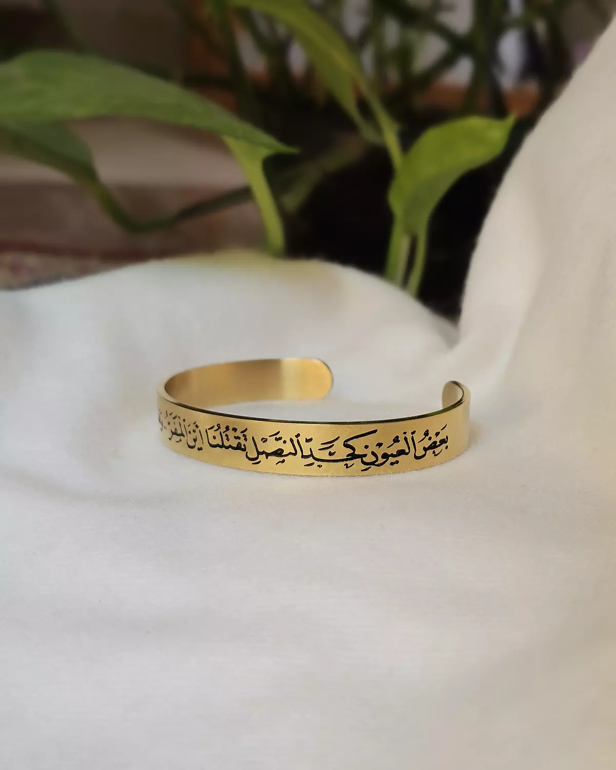  بعض العيون كحد النصل تقتلنا  اين المفر وهذا الحسن سجان /إسورة image