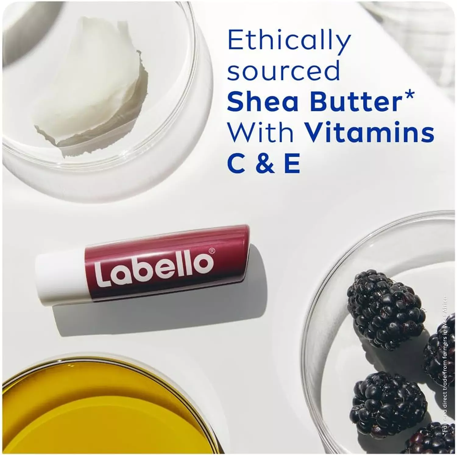 LABELLO BURGUNDY TINTED LIP BALM BLACK BERRY SHINE 4.8 GM 4