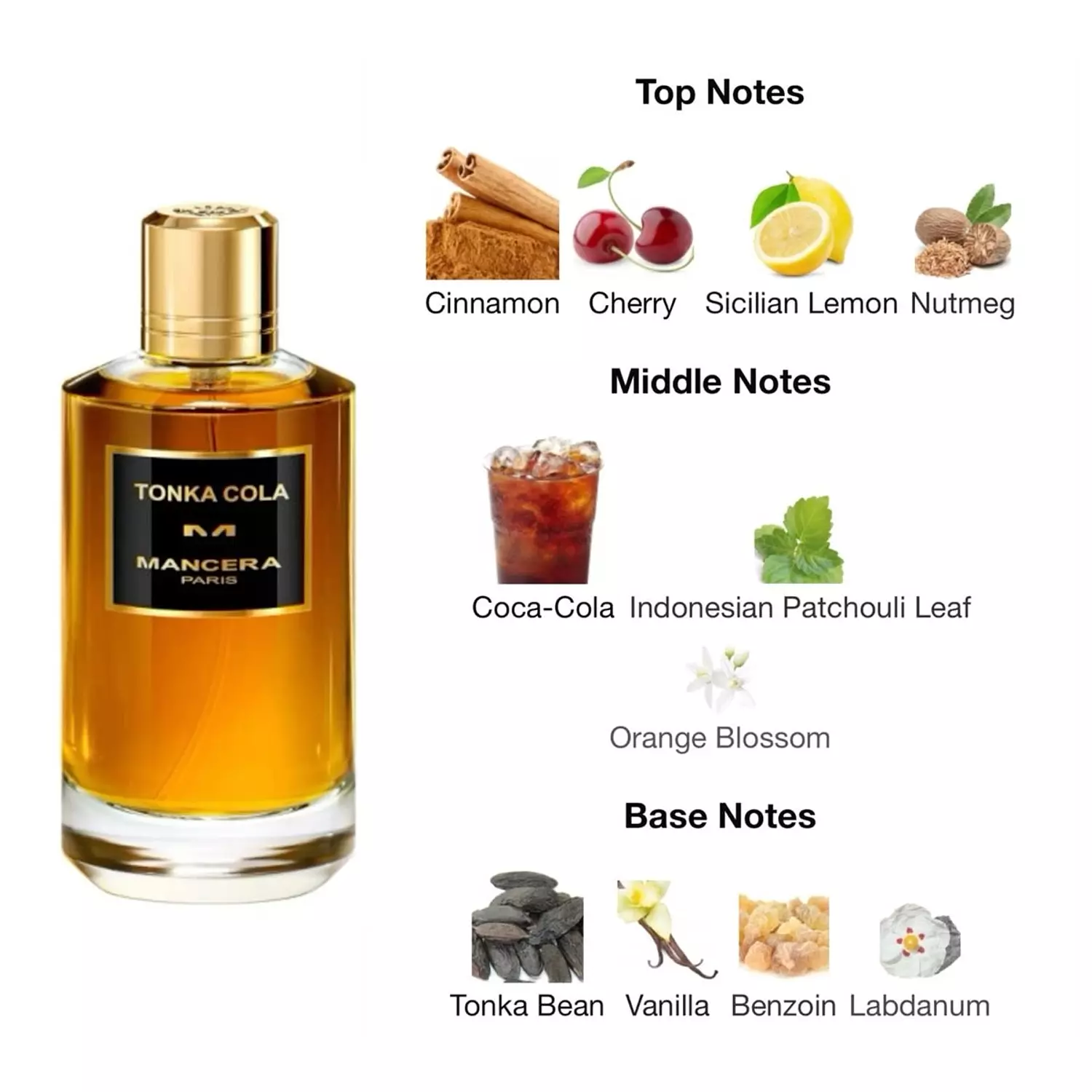 mancera tonka cola  1