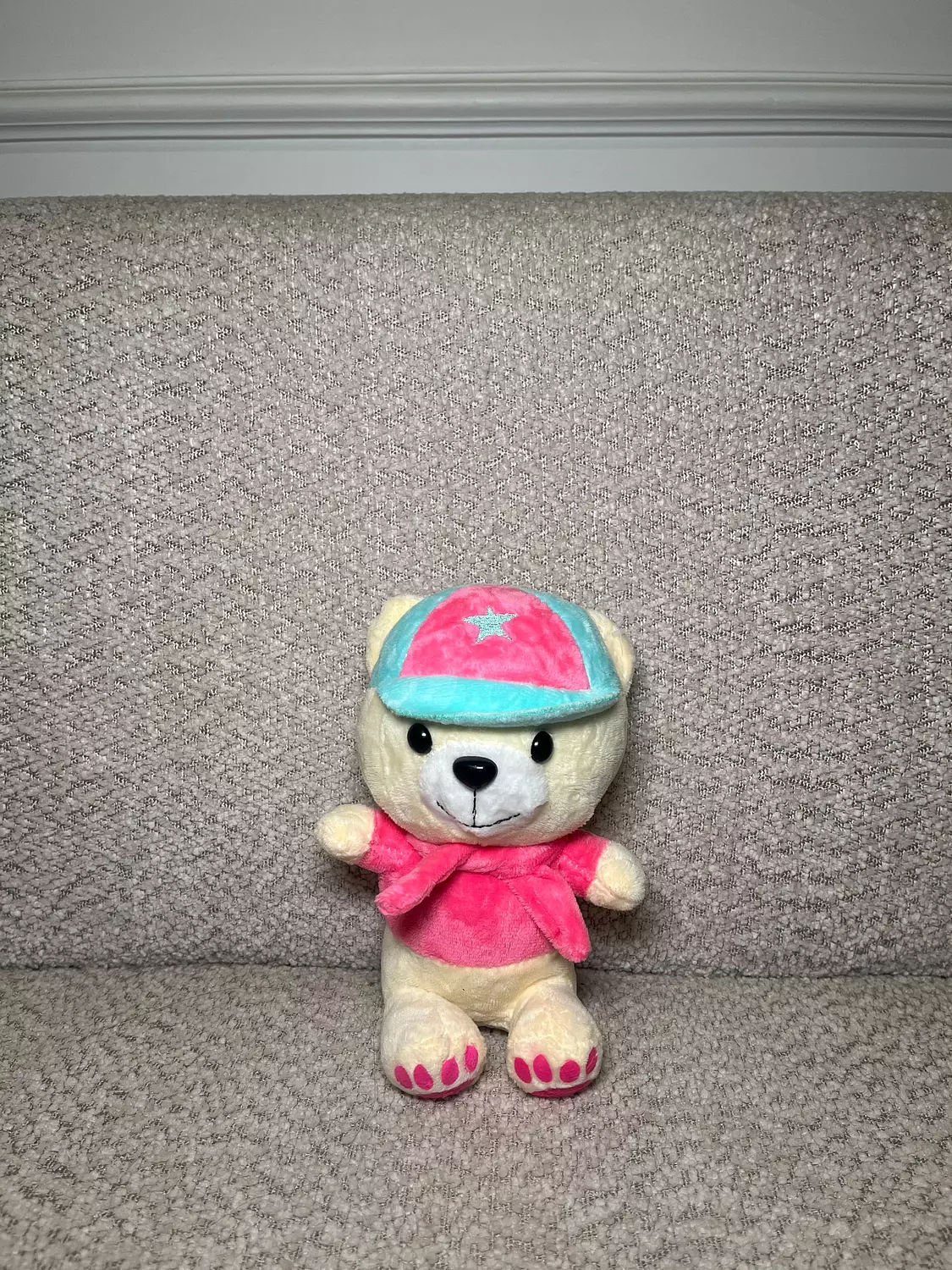 Pinky cute teddy bear  image