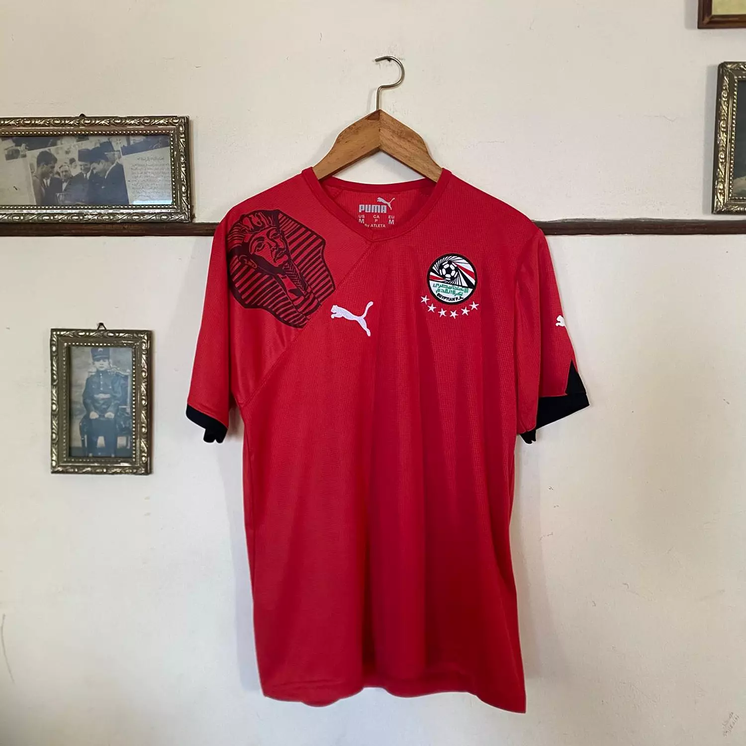 Egypt 2010 Home Kit image