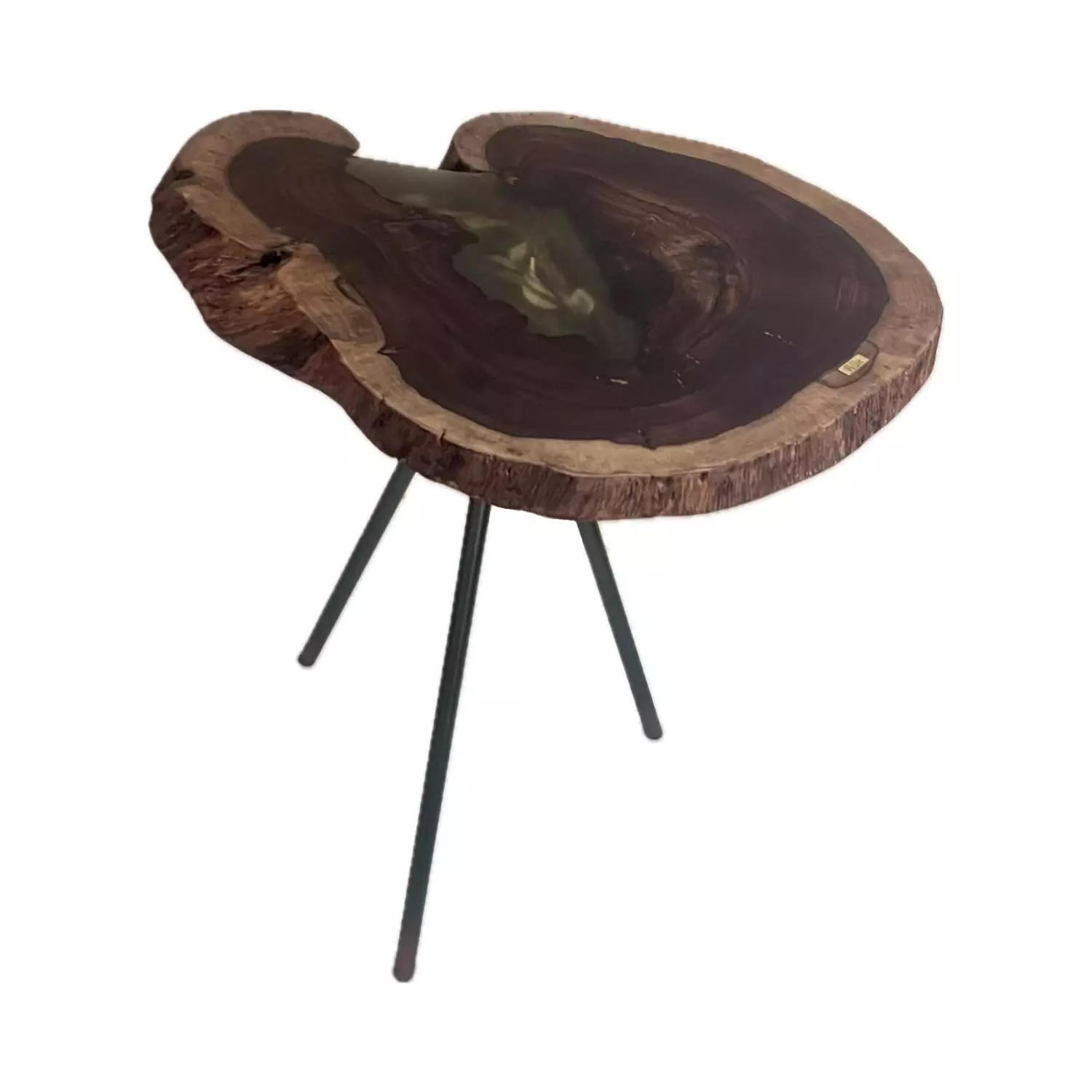 Tree Log- Natural Leaves Side Table  3