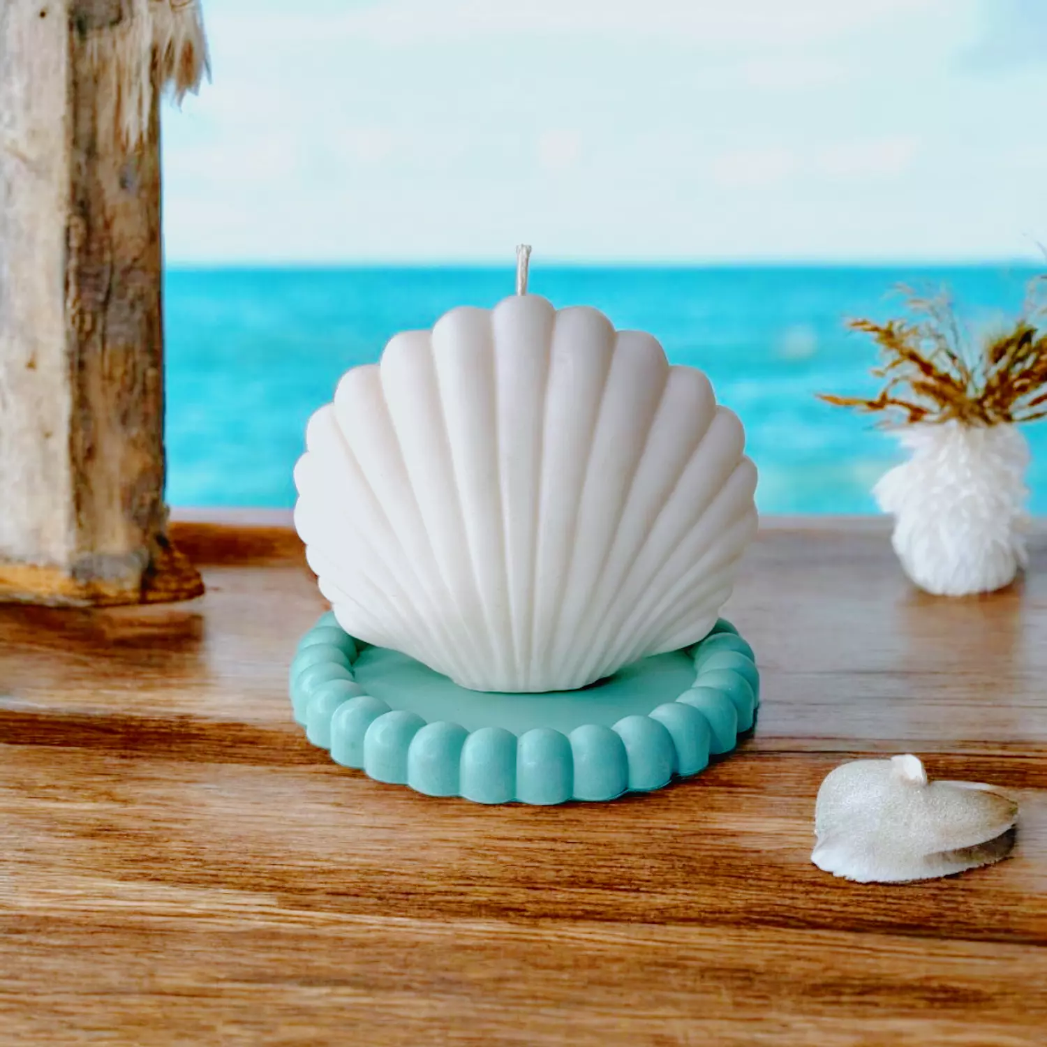 Larger Than Life Seashell image